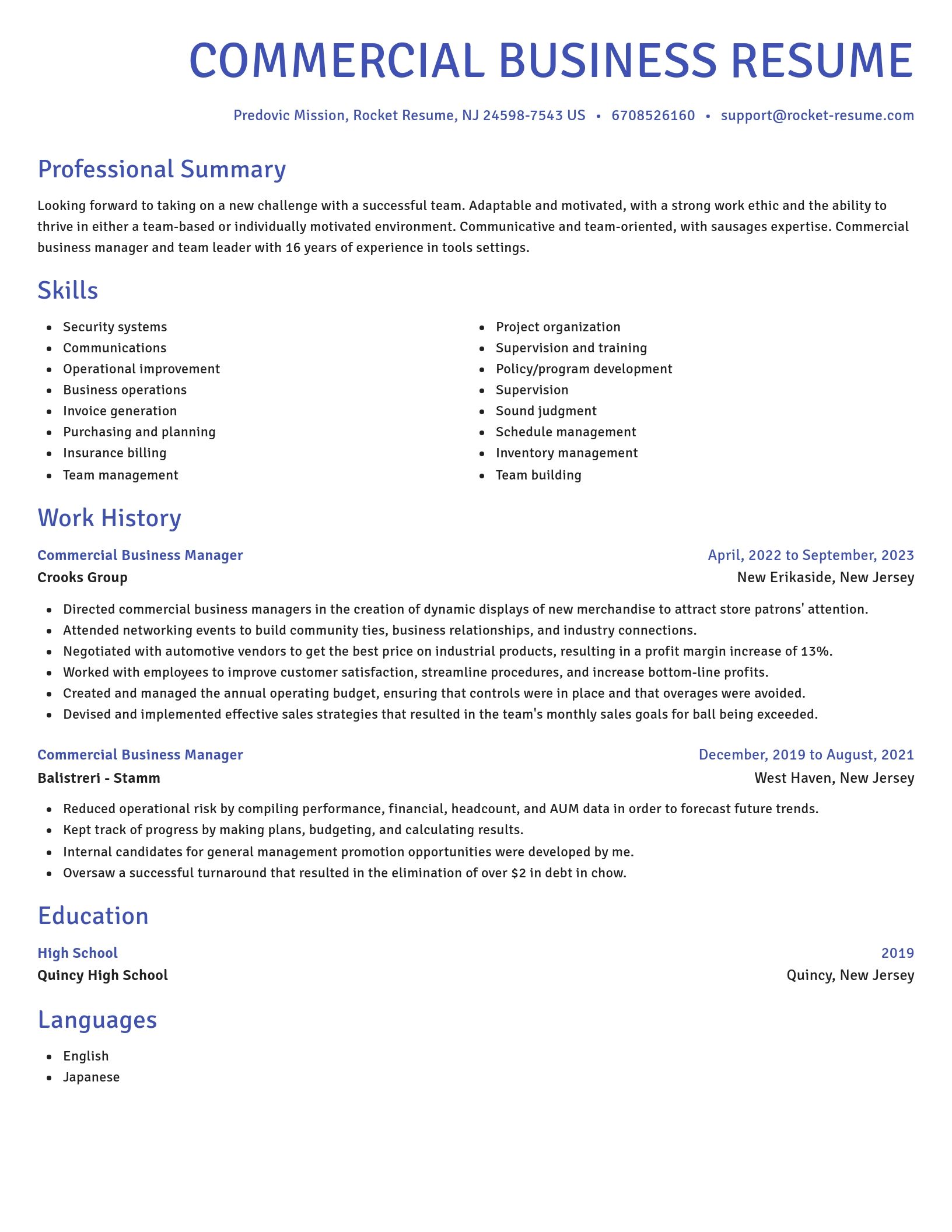Novel resume template