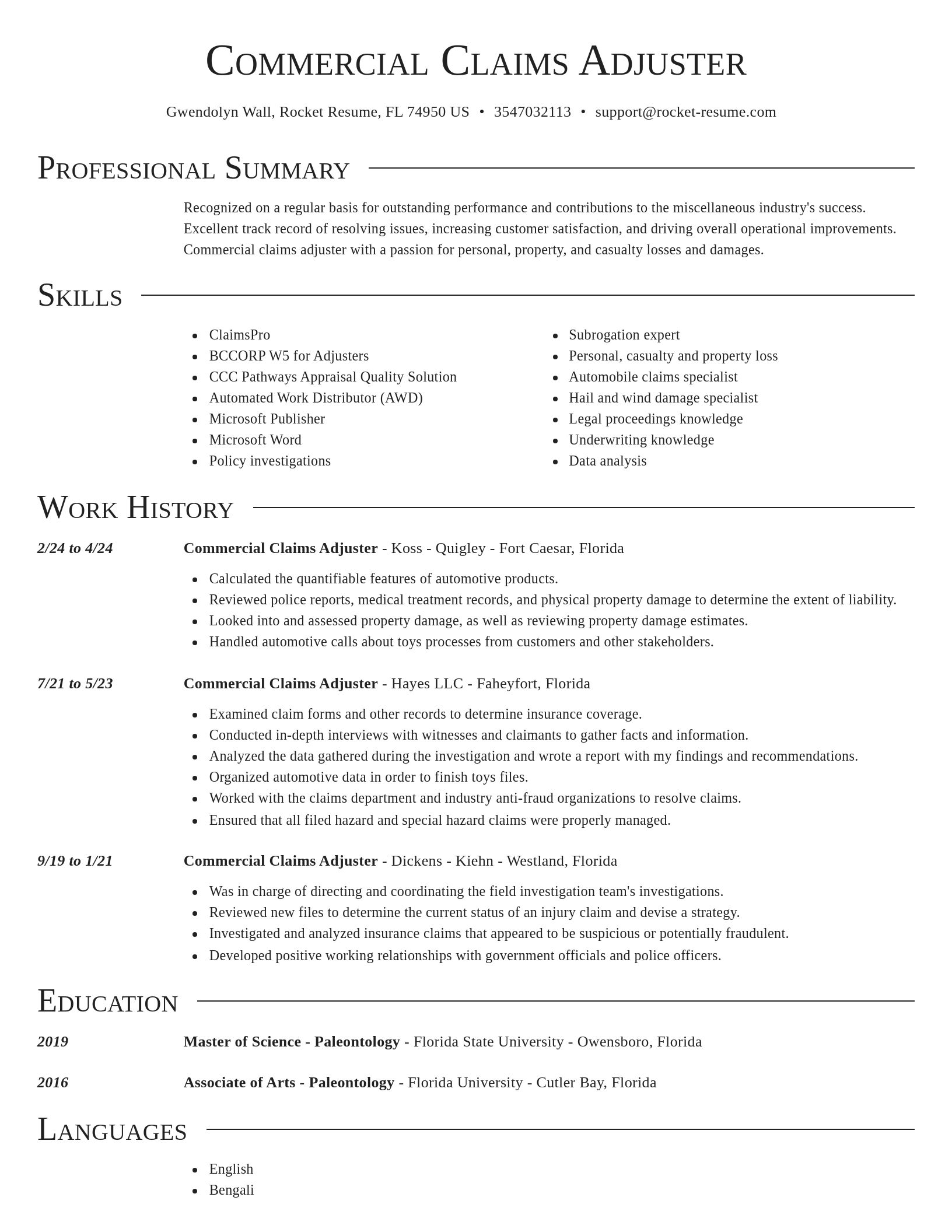 Director resume template