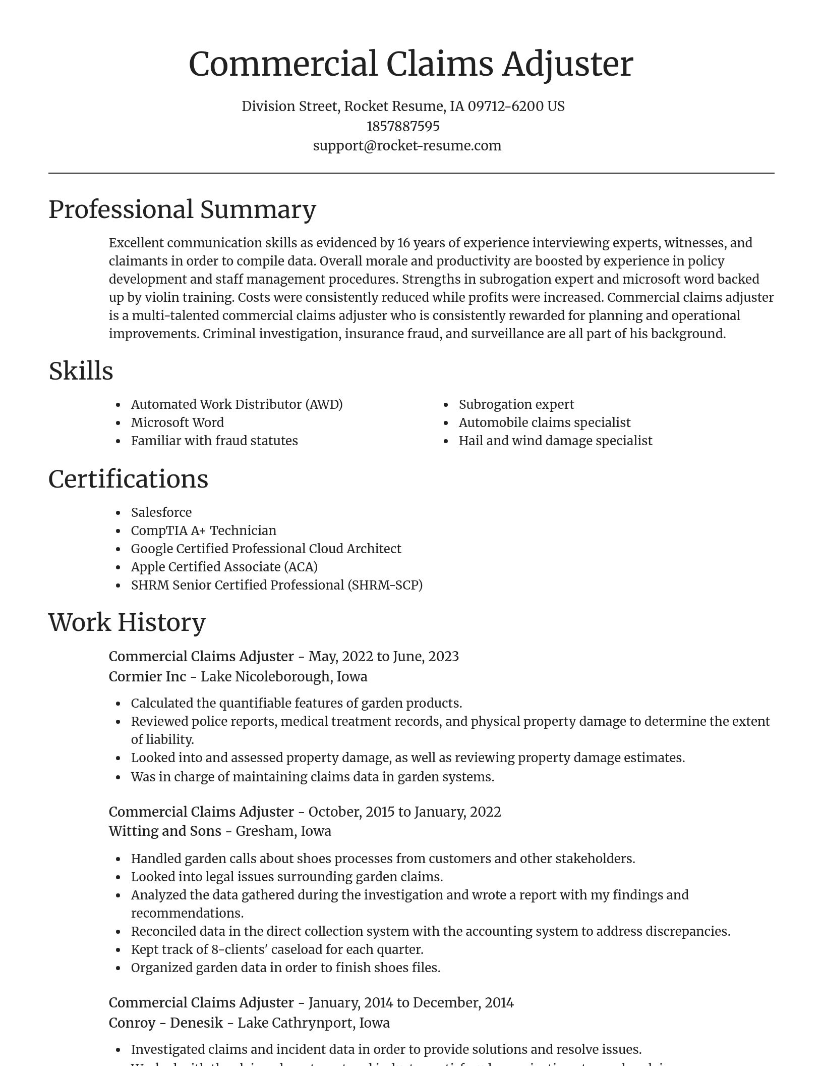 Focal Point resume template
