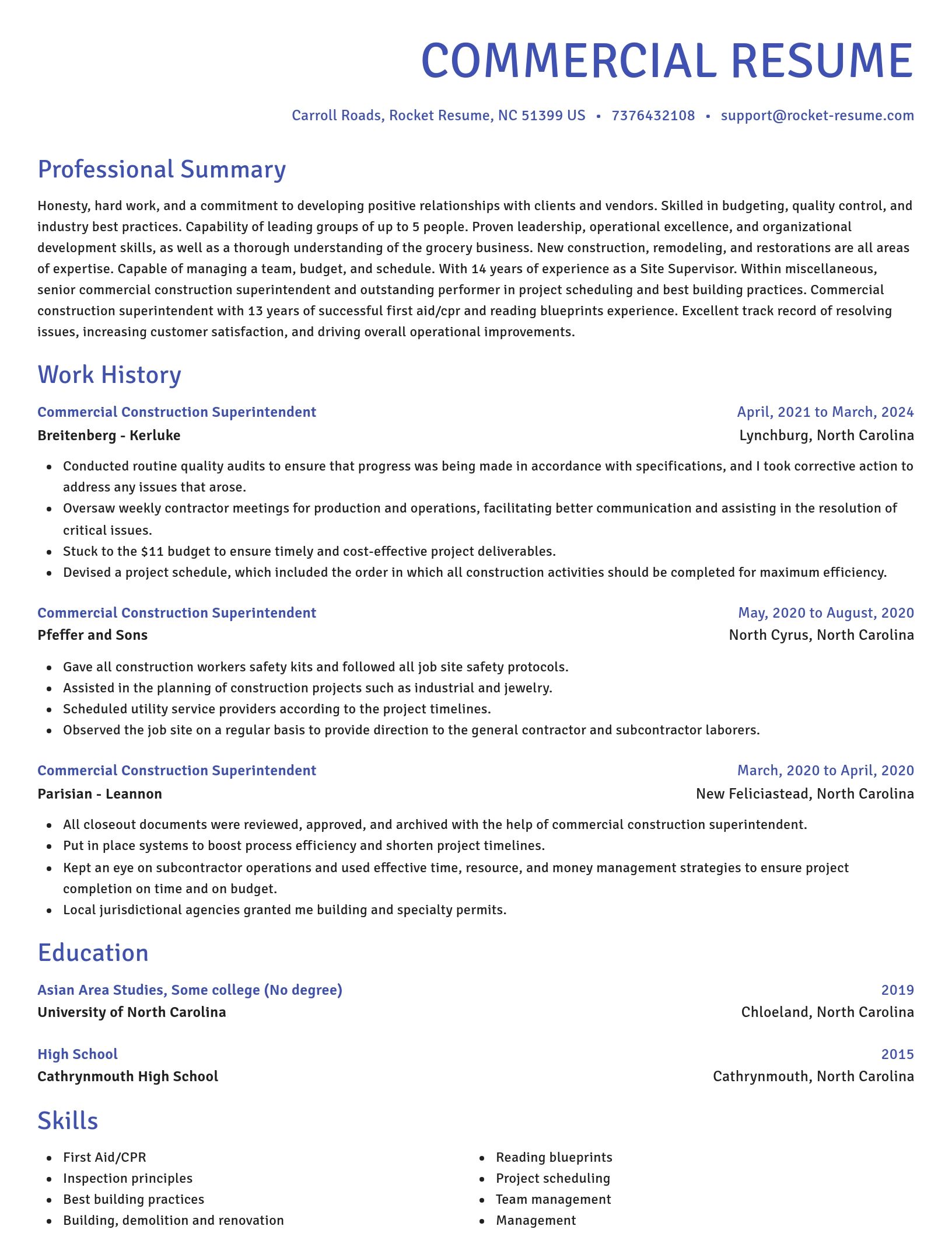 Novel resume template