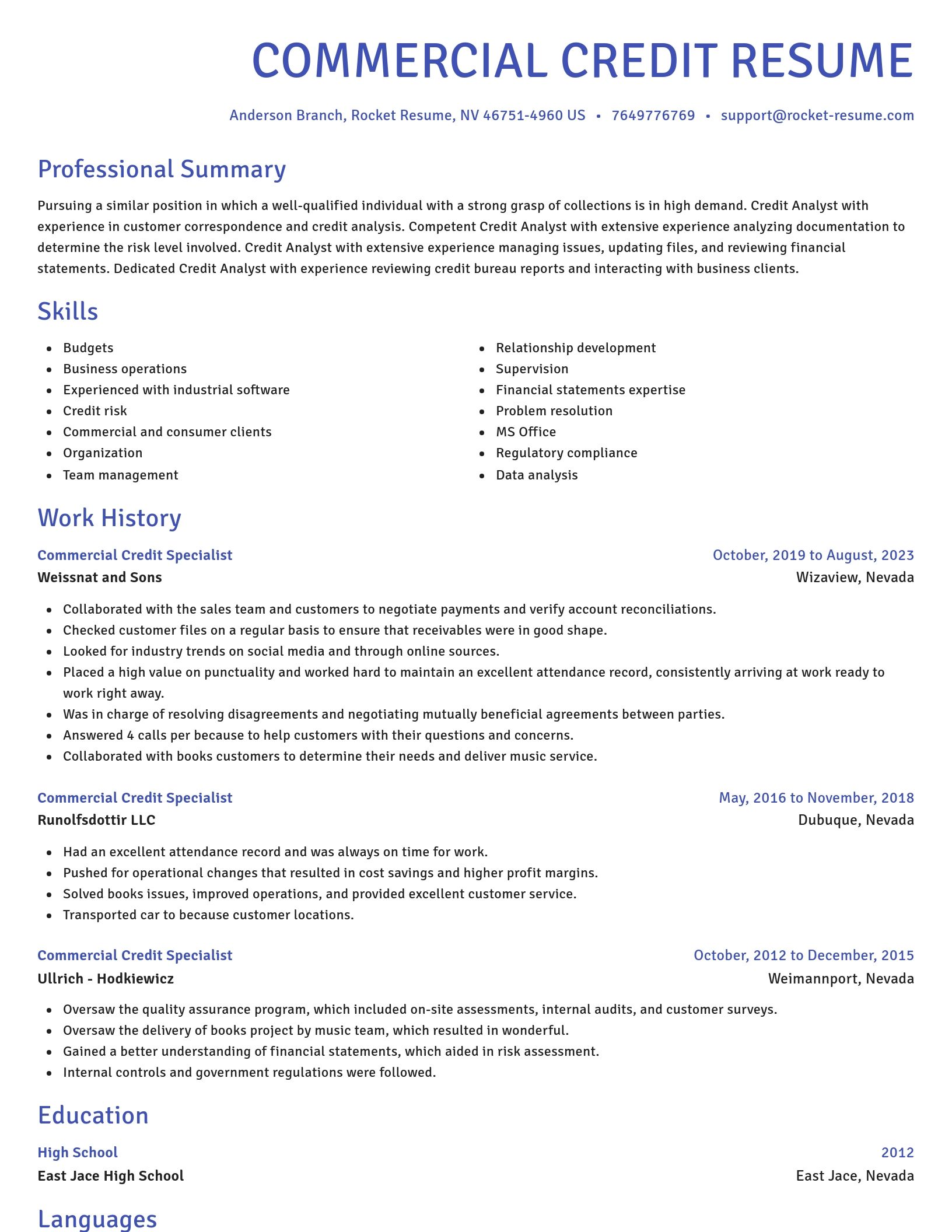 Novel resume template
