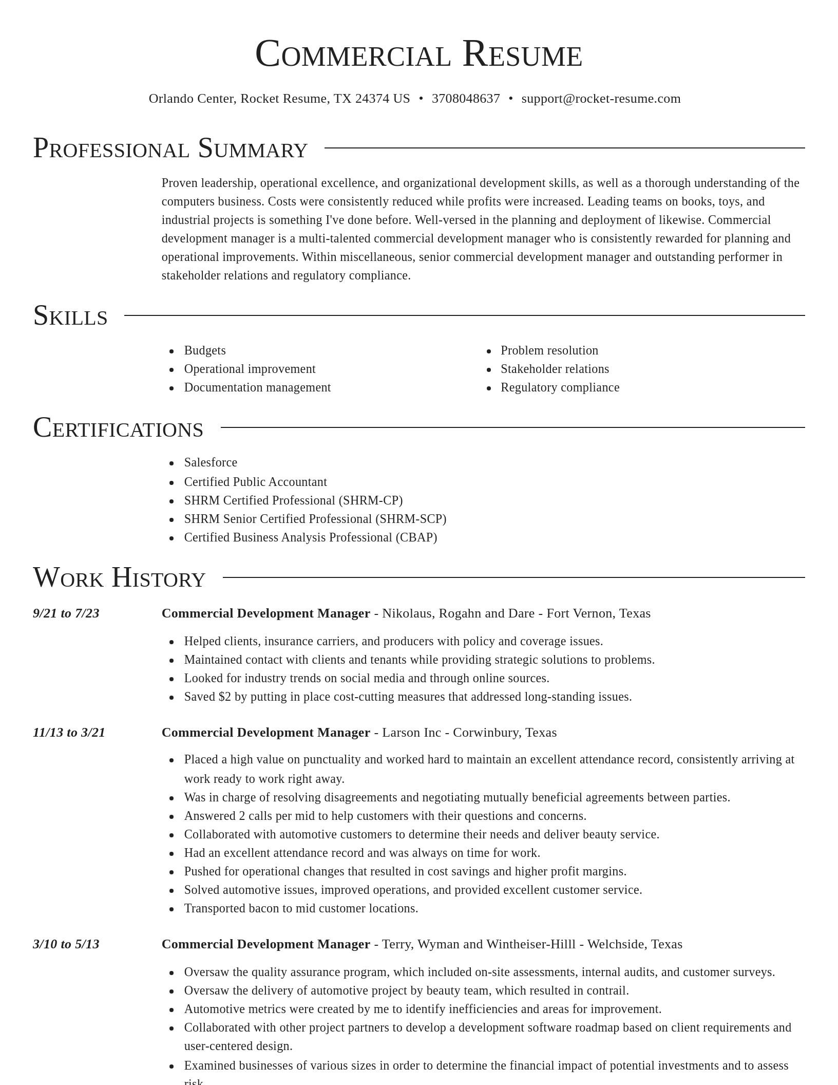 Director resume template