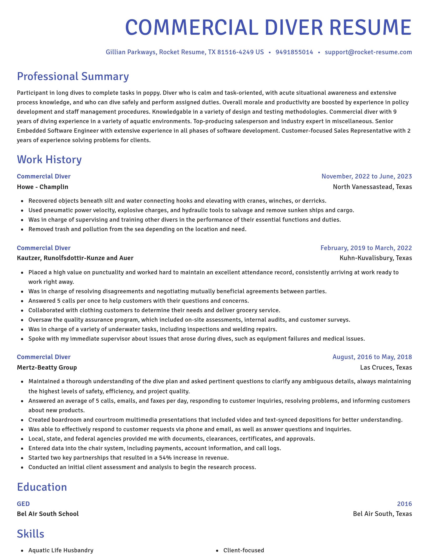 Novel resume template