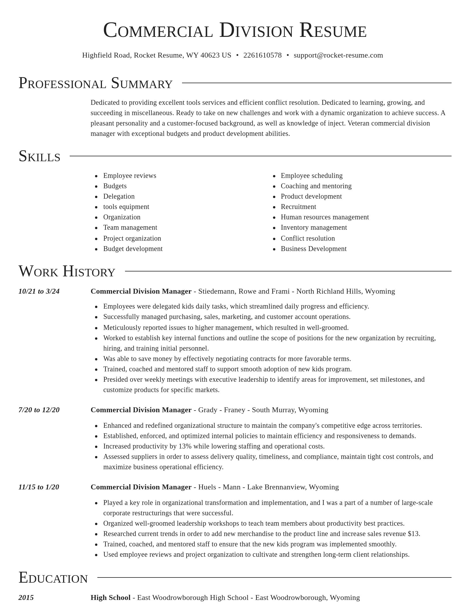 Director resume template