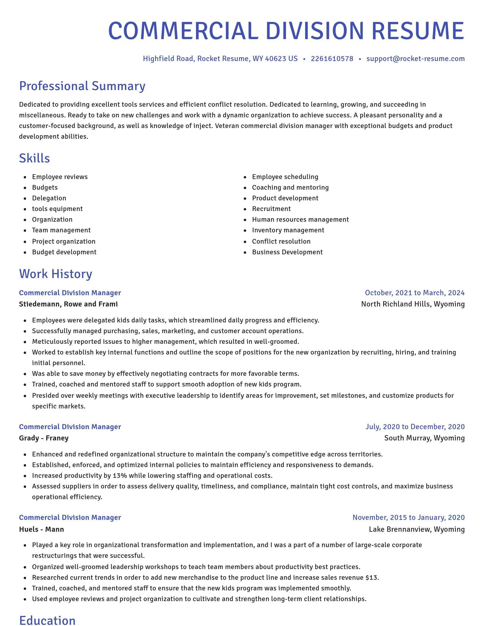 Novel resume template