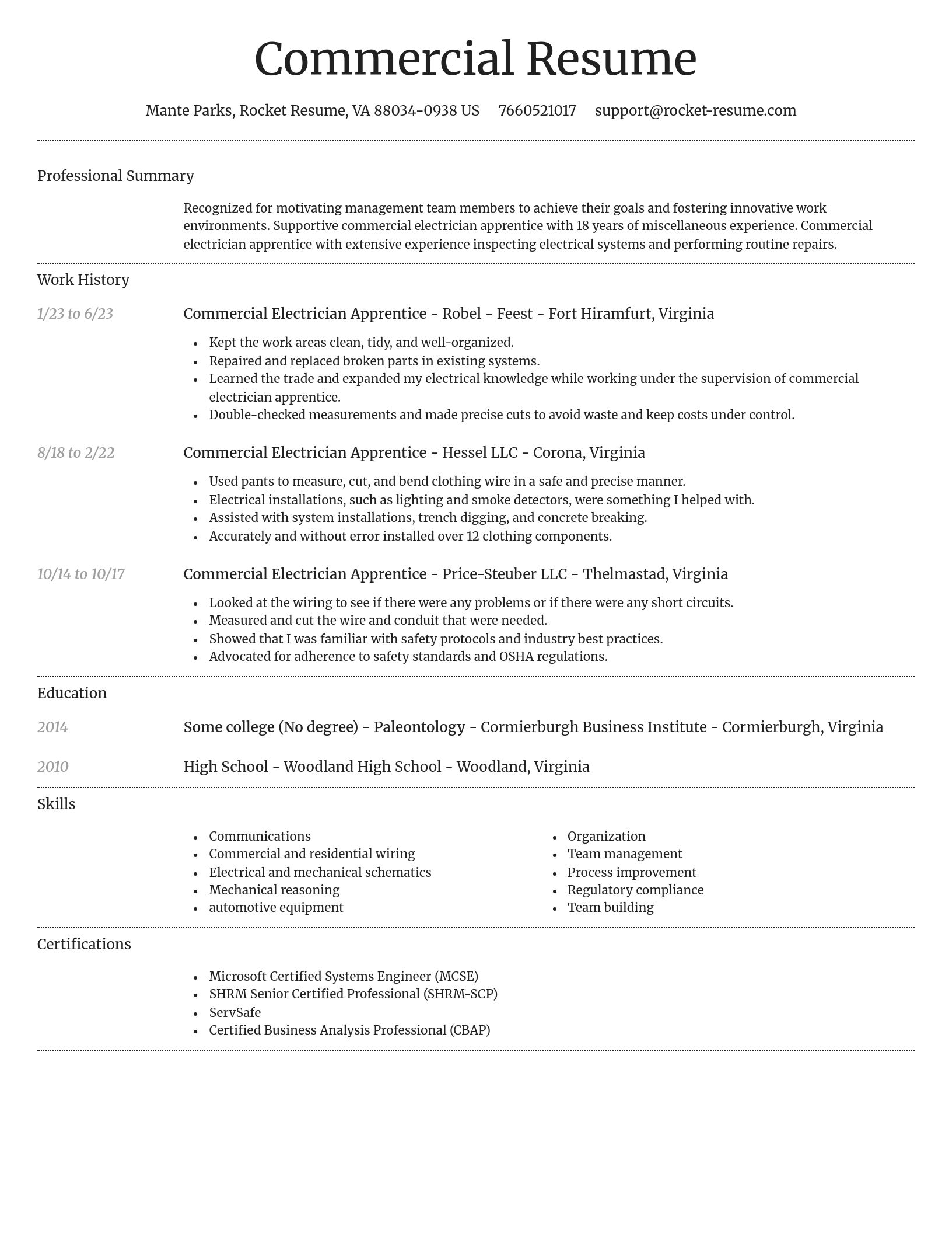 Dignified resume template