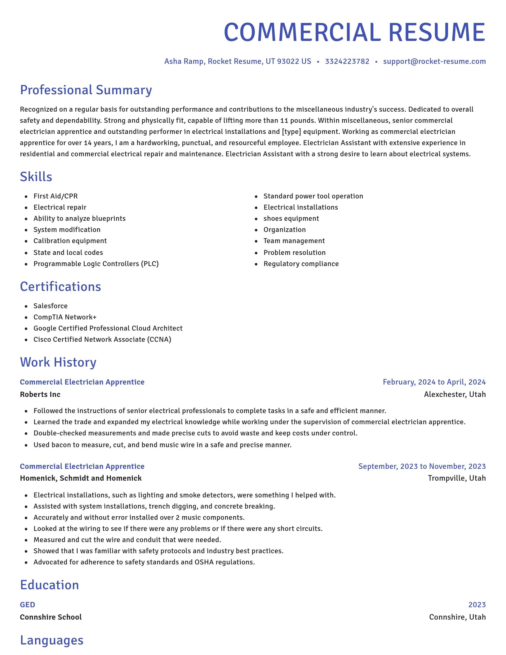 Novel resume template