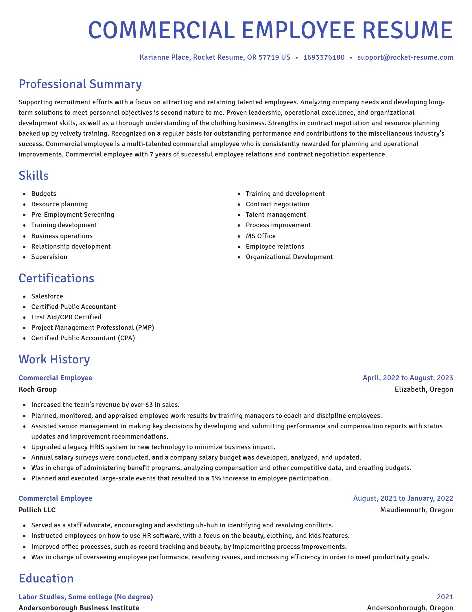 Novel resume template