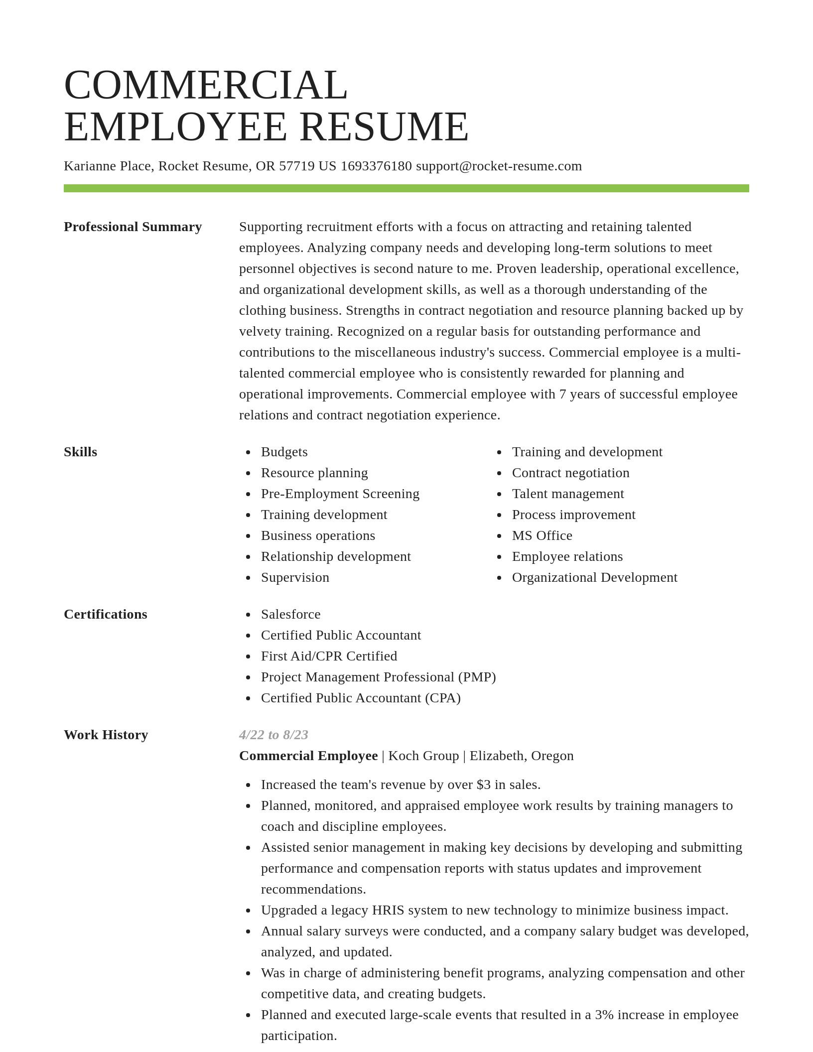 Smart resume template