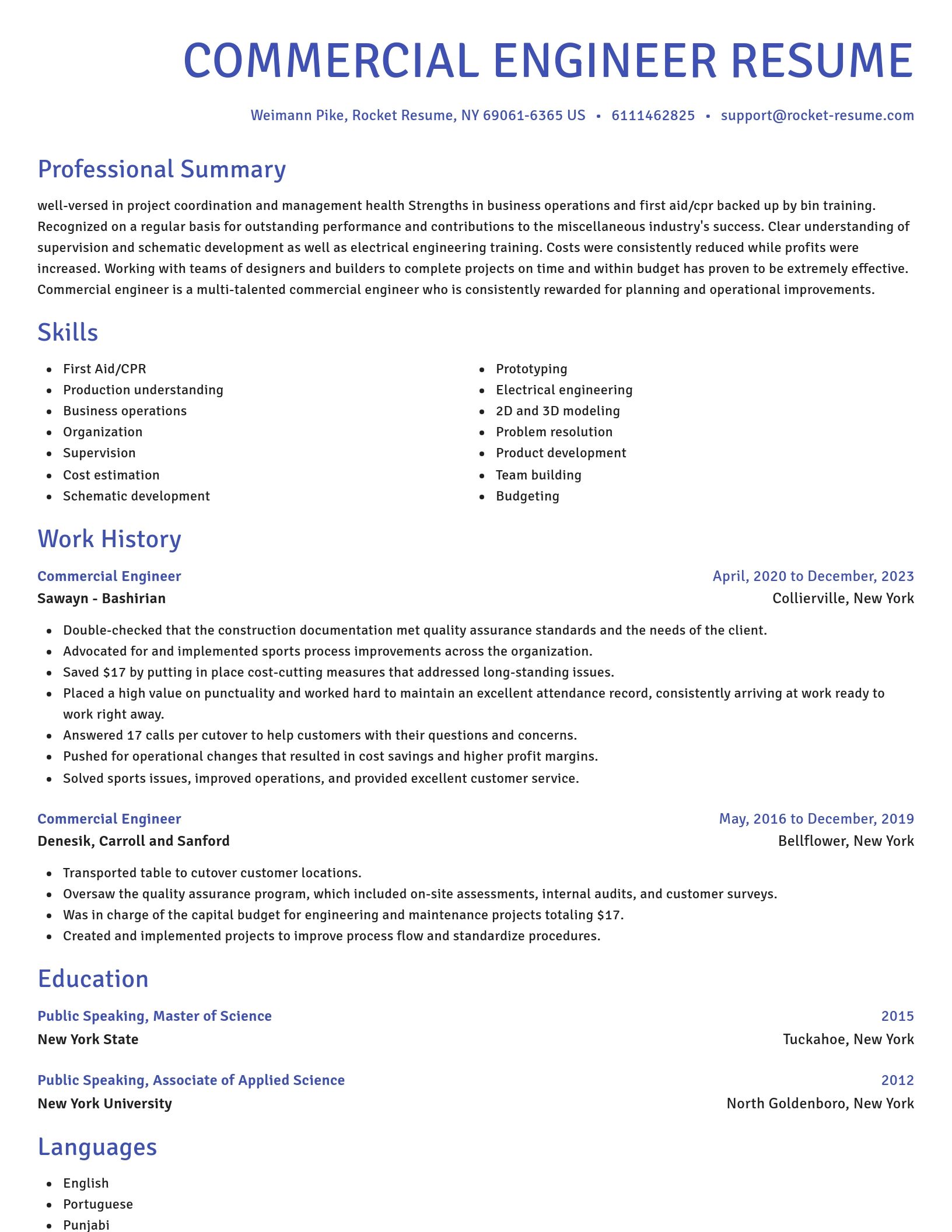 Novel resume template
