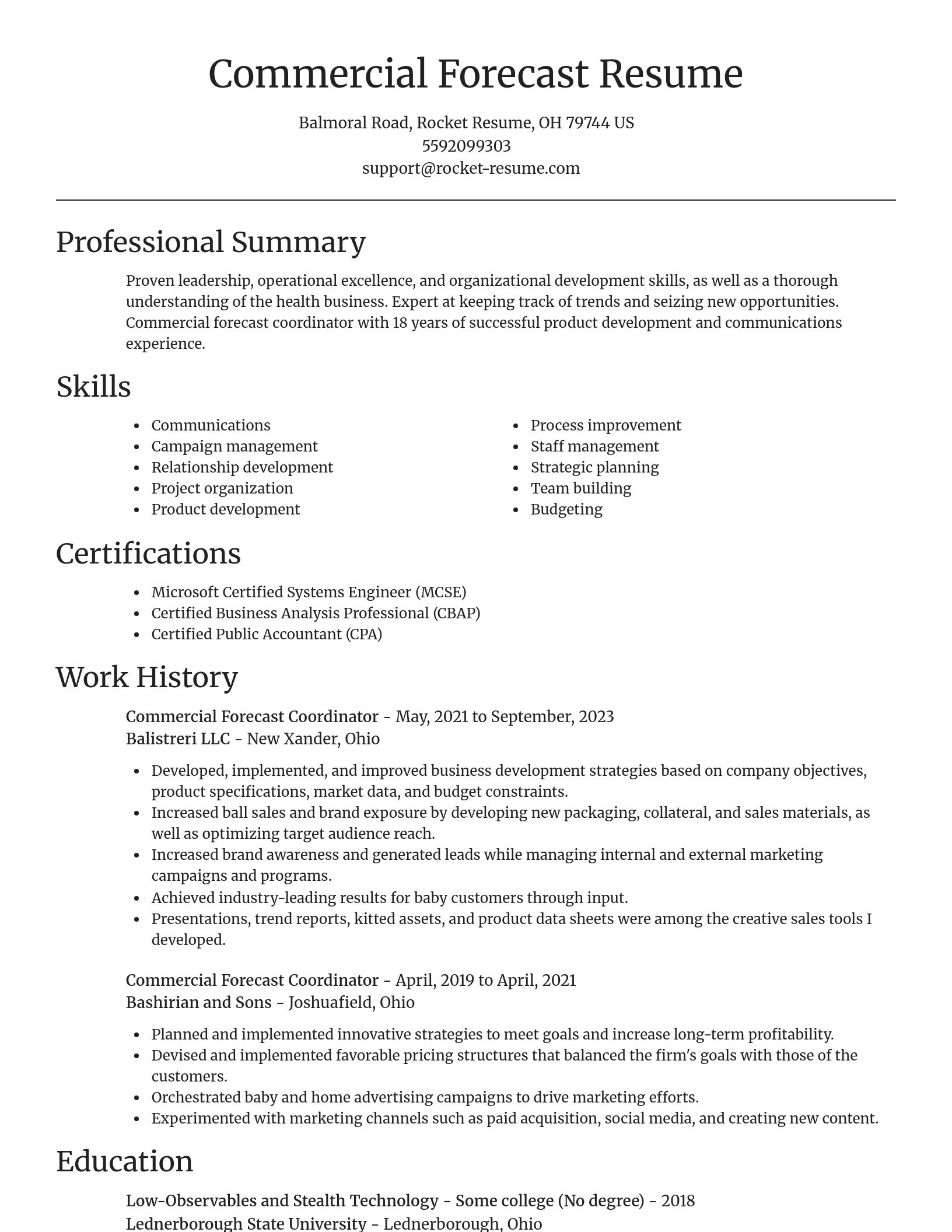 Focal Point resume template