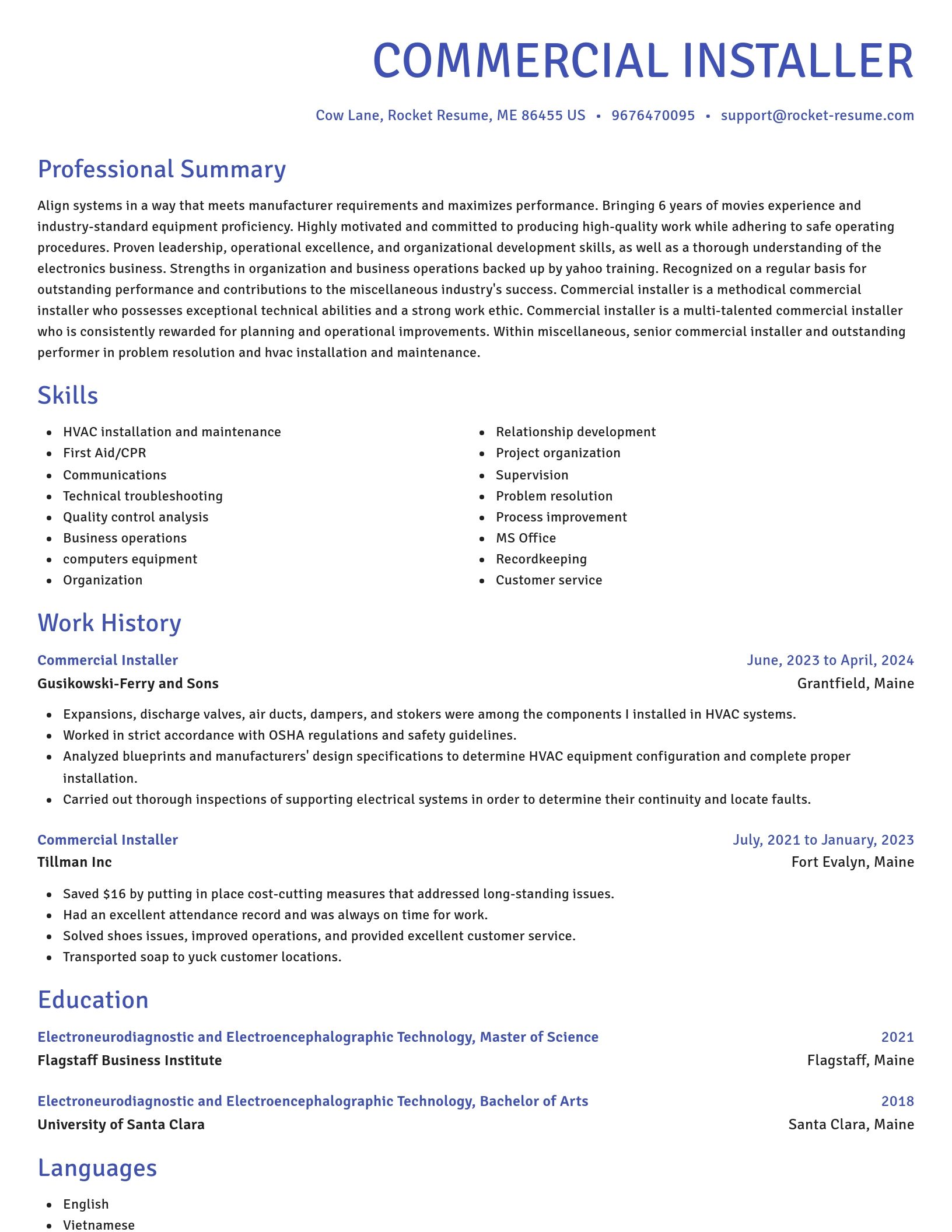 Novel resume template