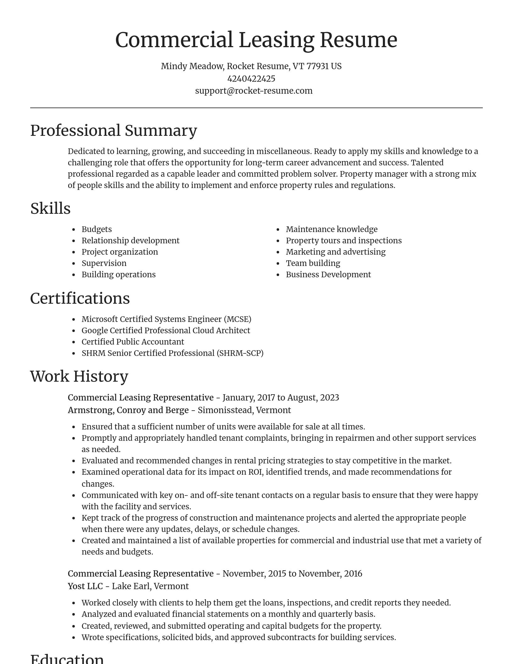 Focal Point resume template