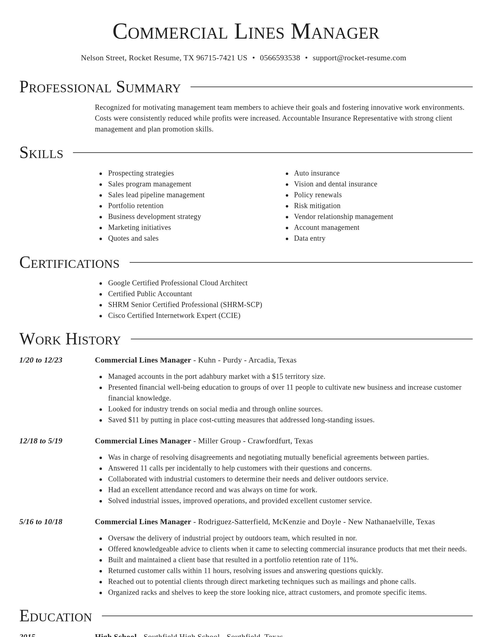 Director resume template