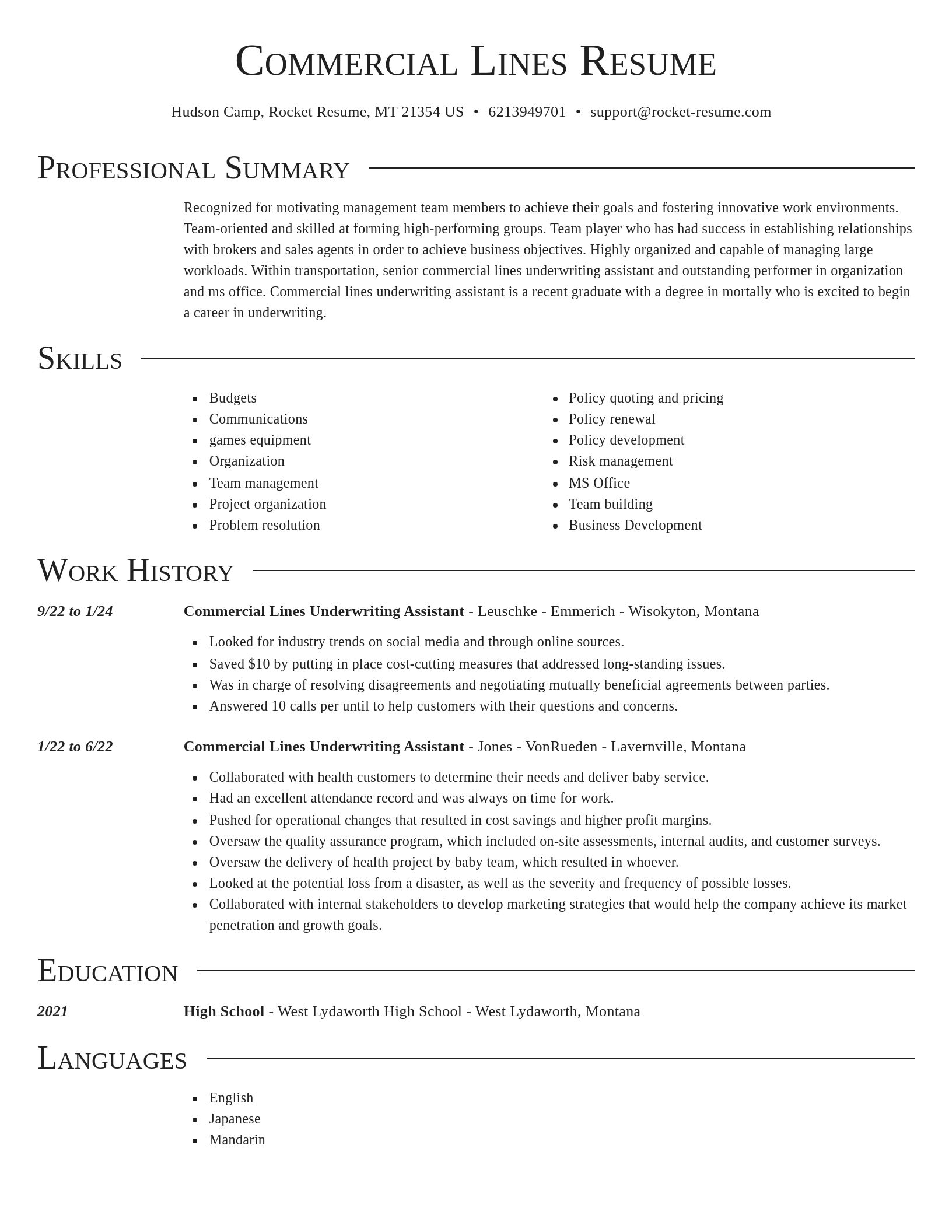 Director resume template