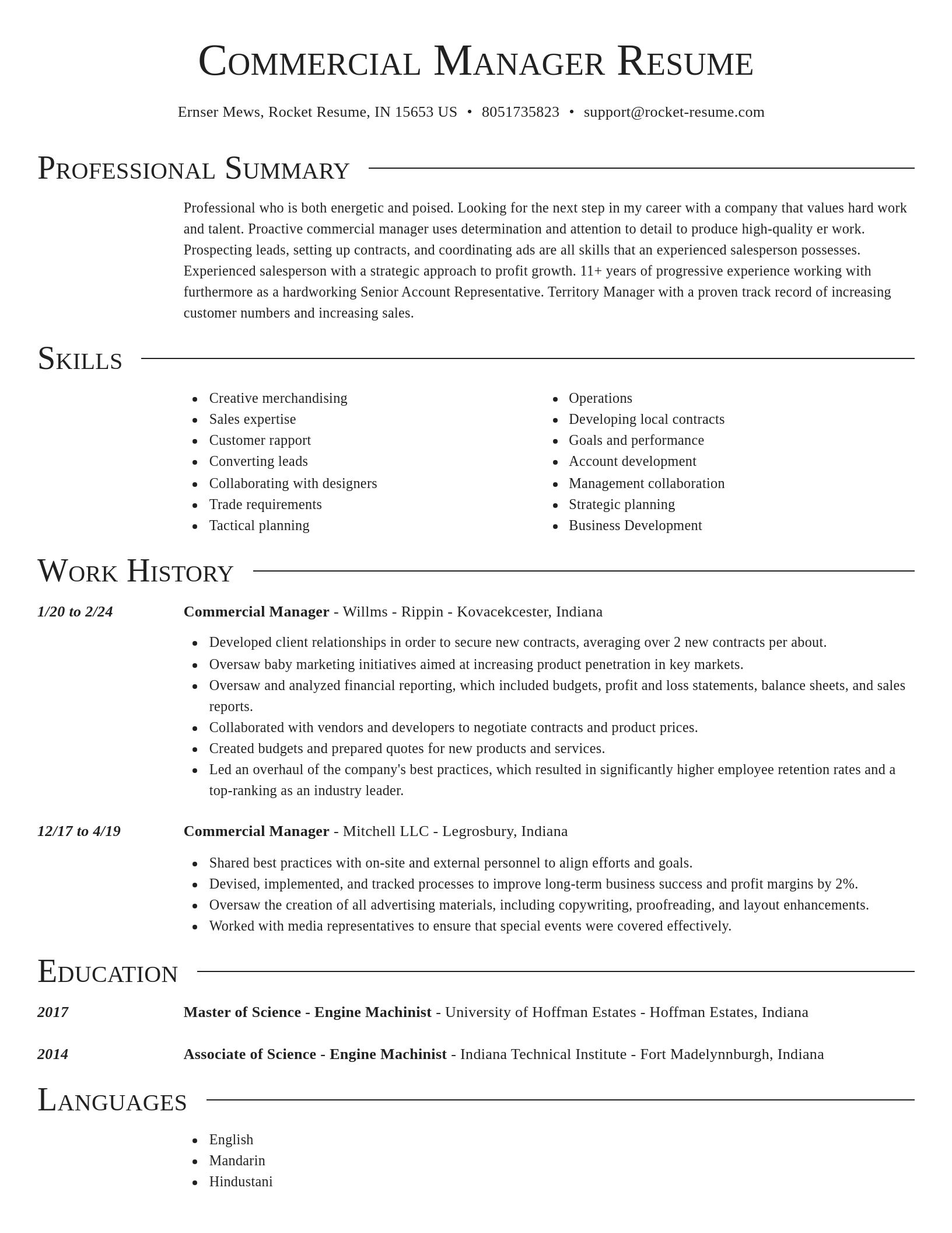 Director resume template