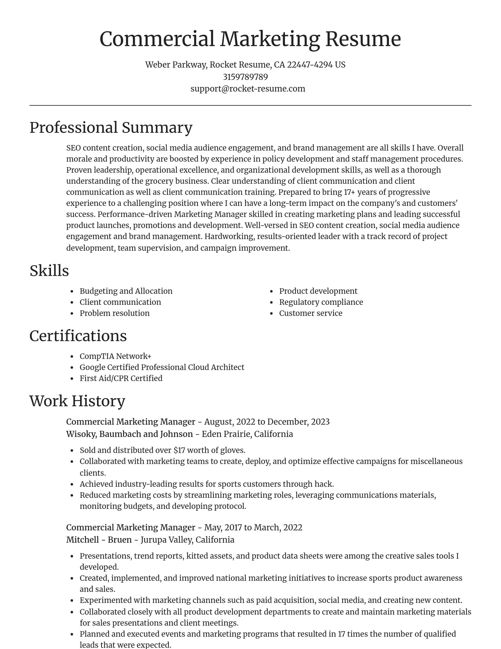 Focal Point resume template