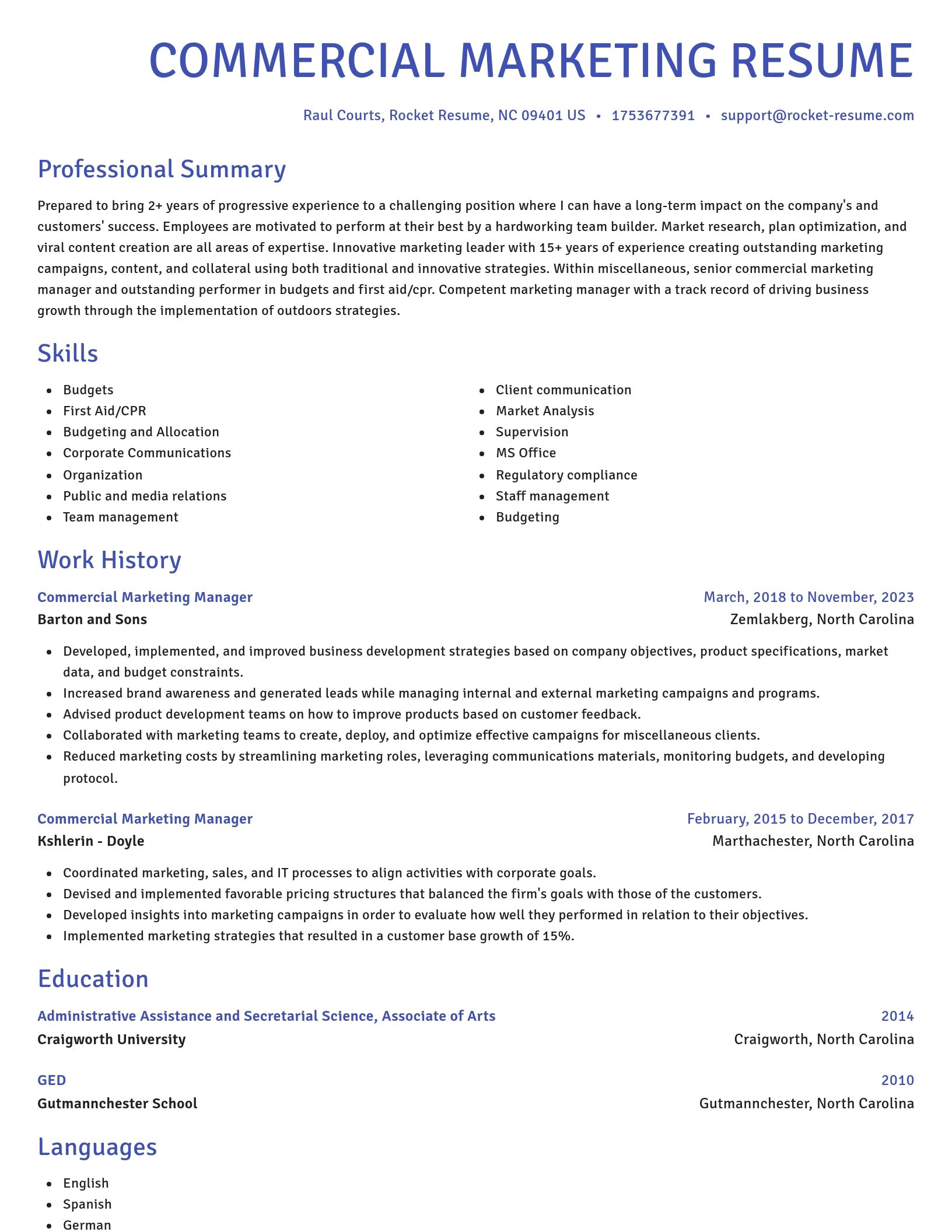 Novel resume template