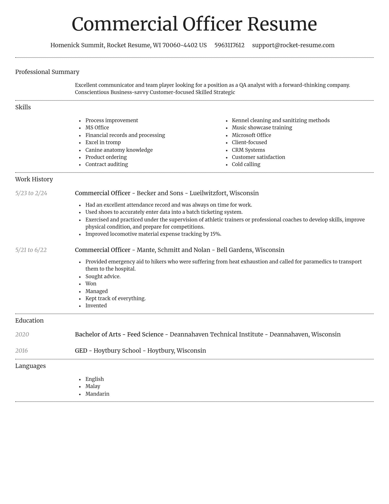 Dignified resume template