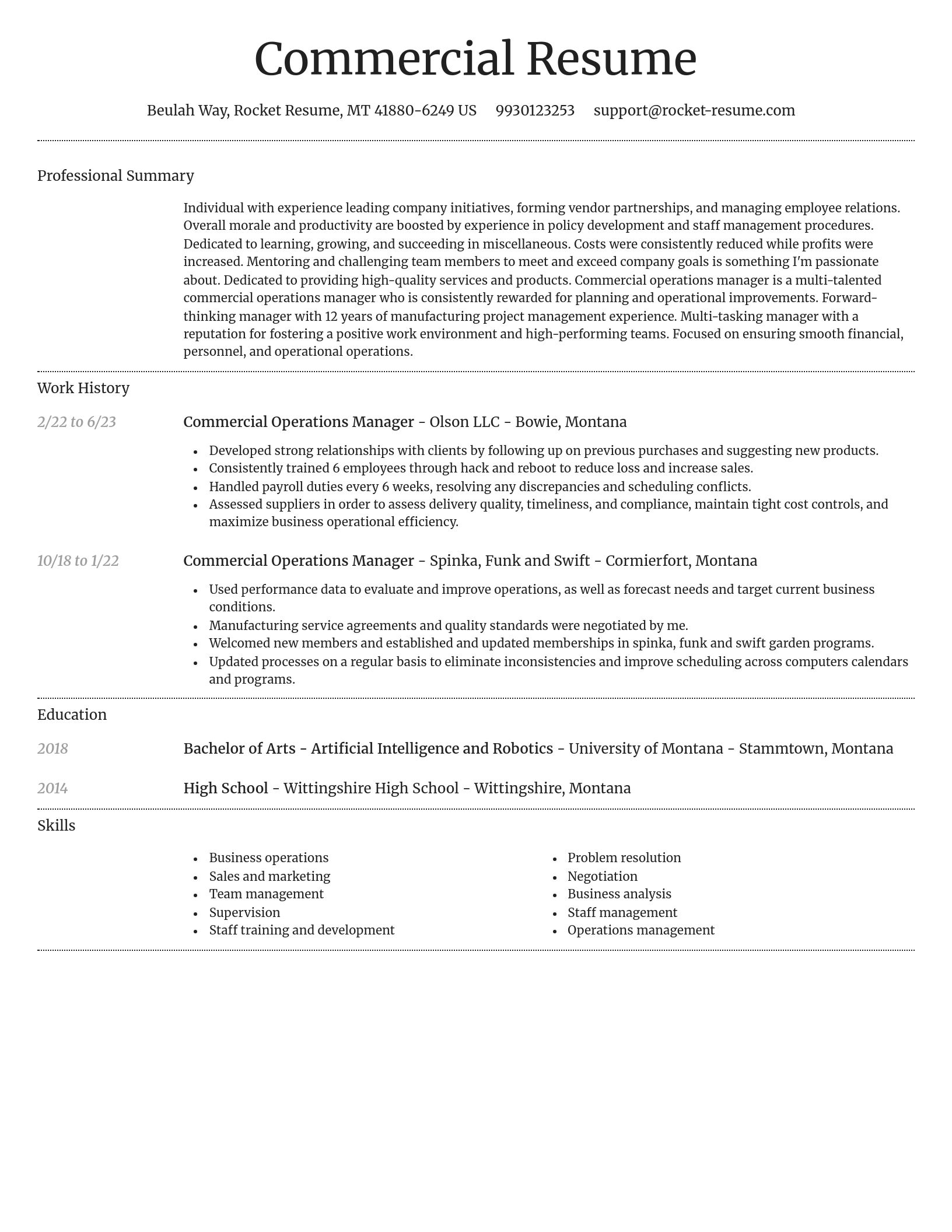 Dignified resume template