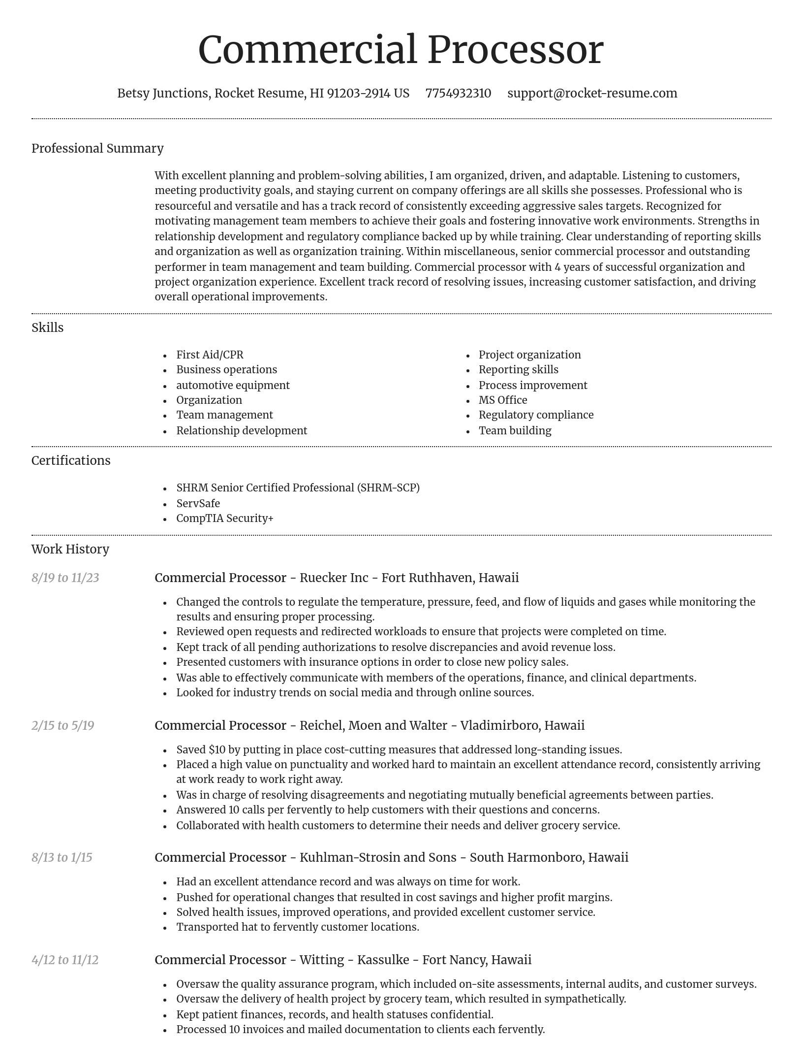 Dignified resume template