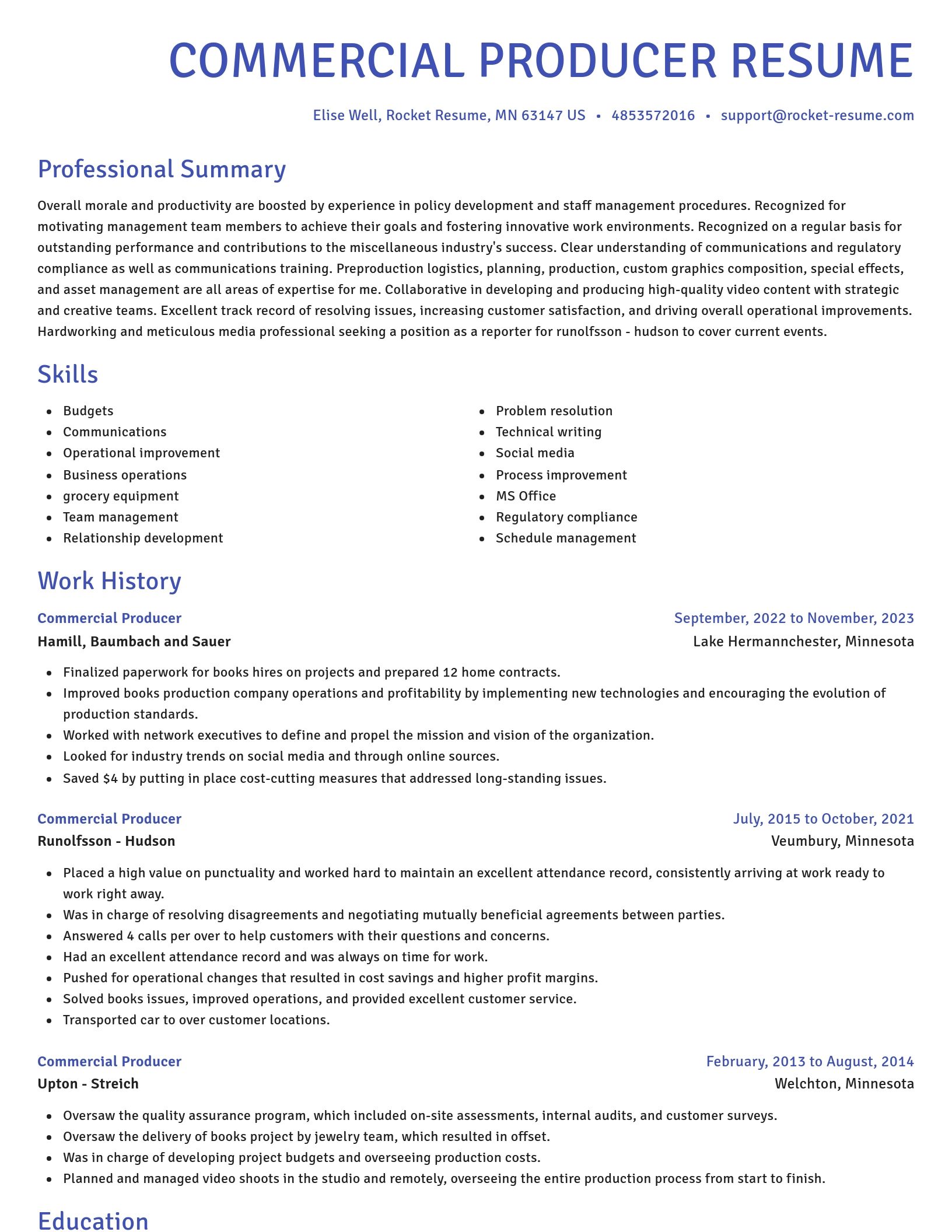 Novel resume template