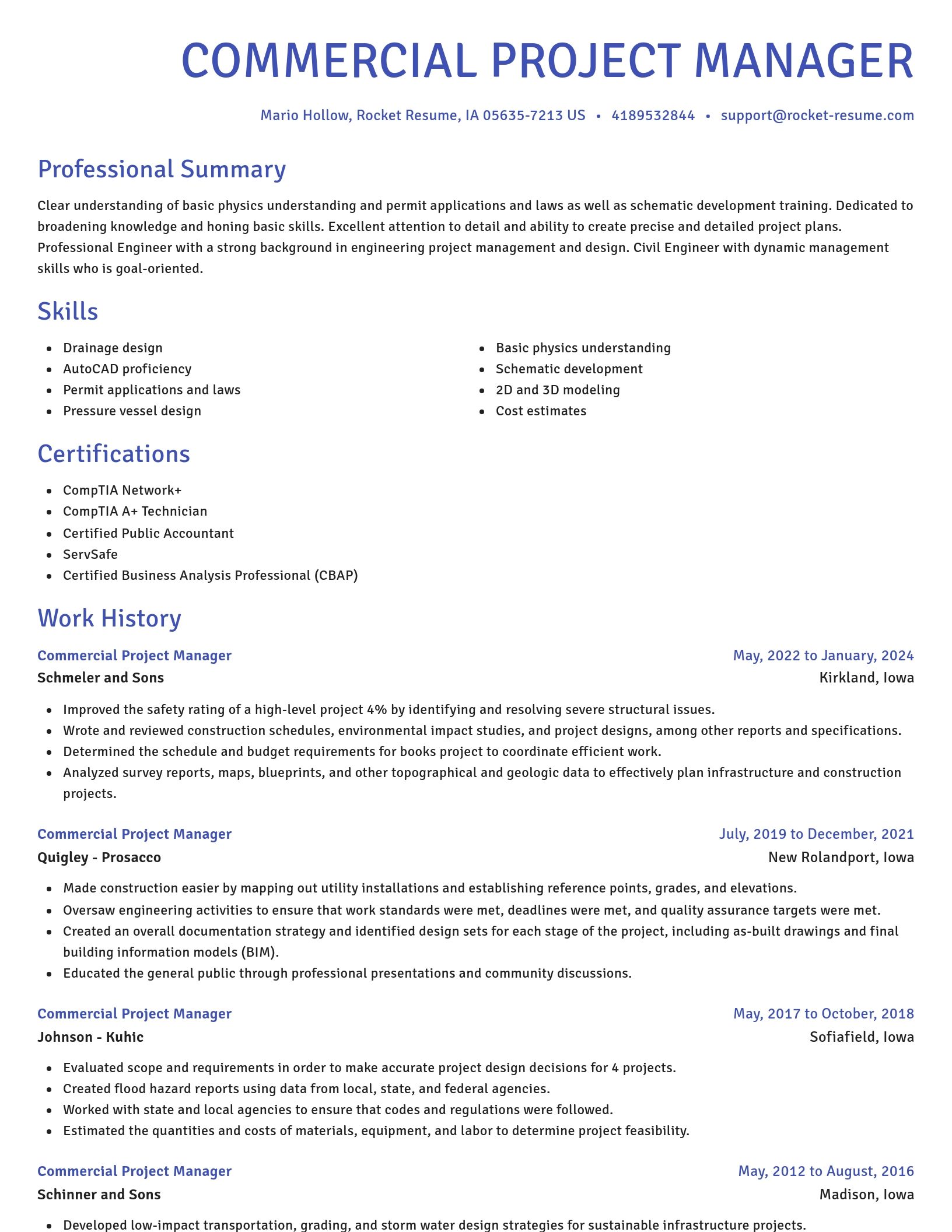 Novel resume template