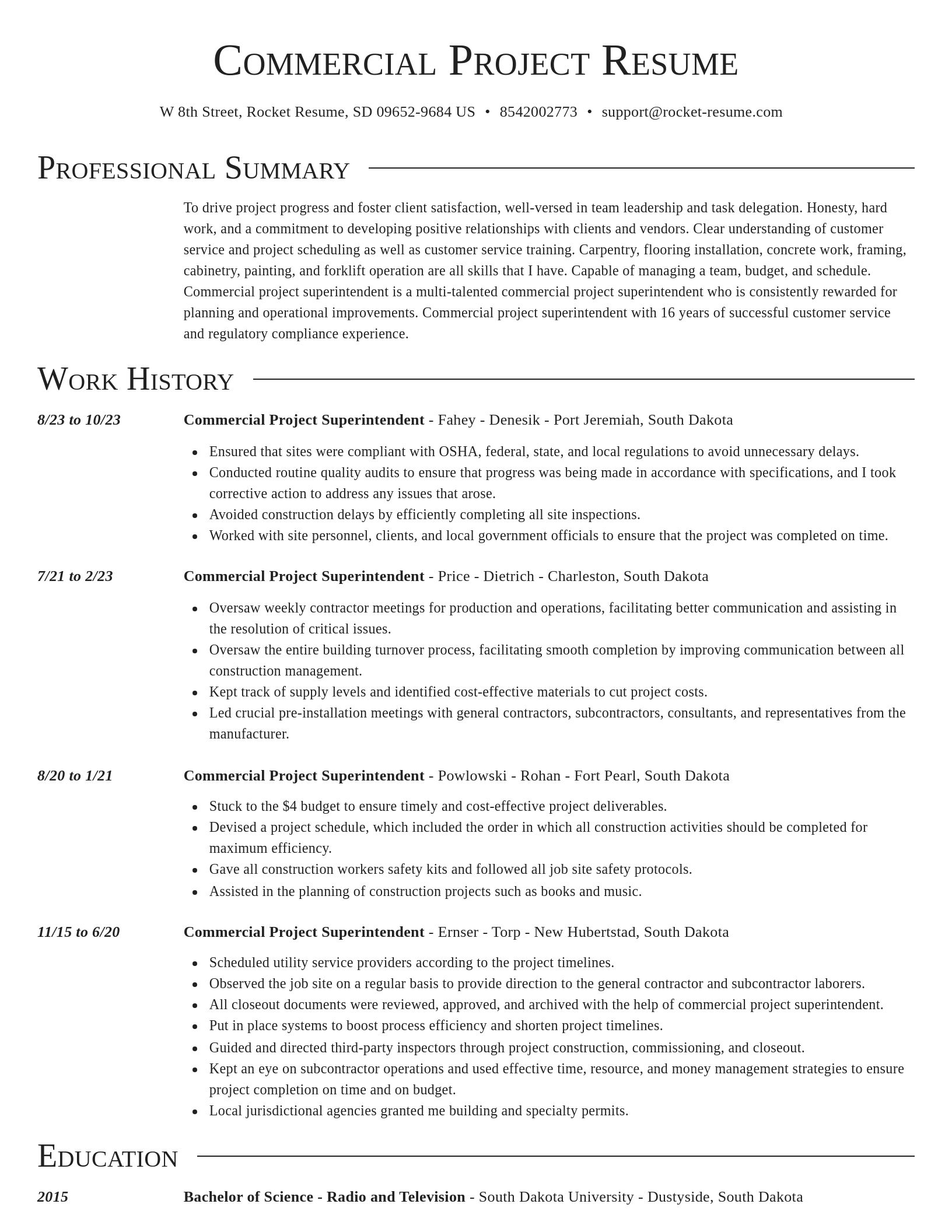 Director resume template