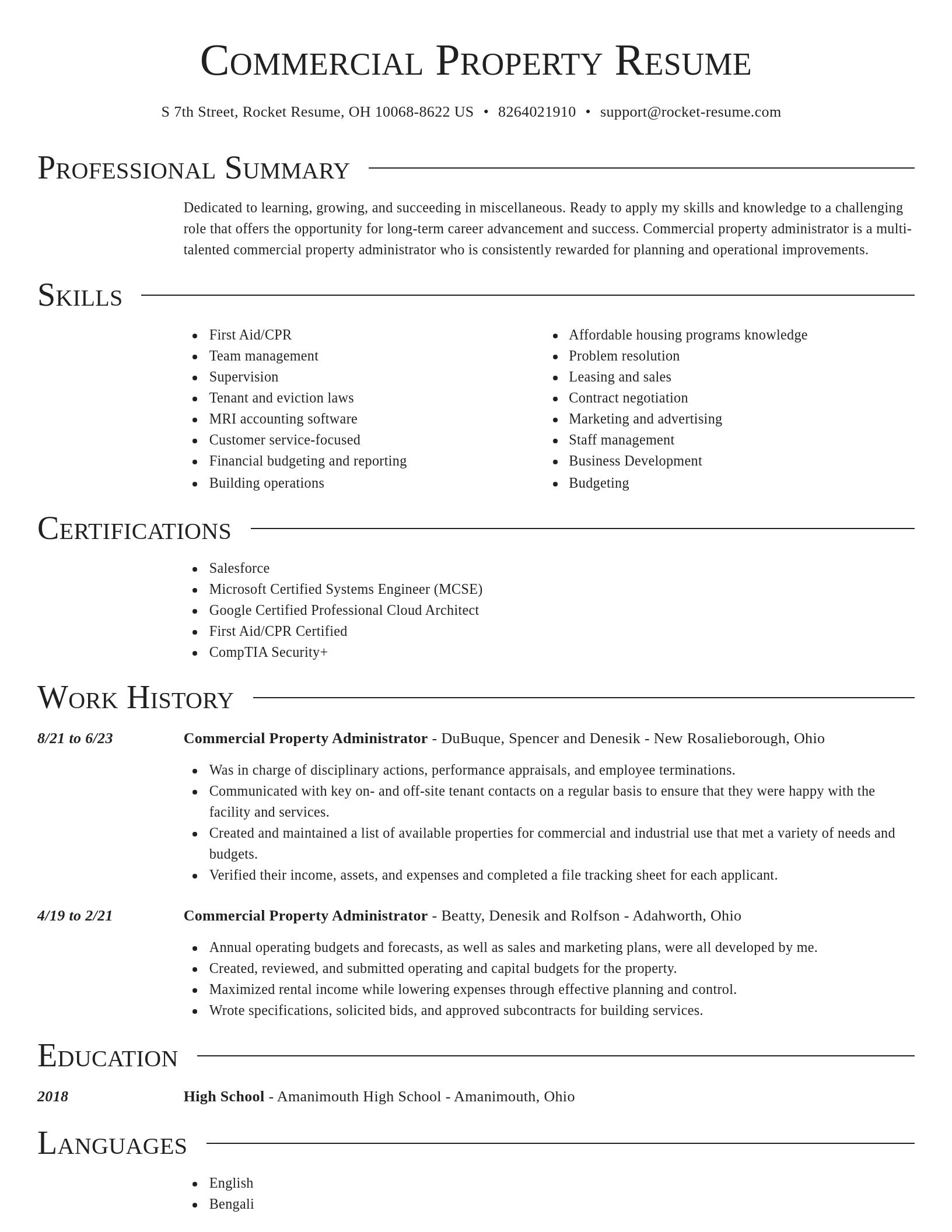 Director resume template