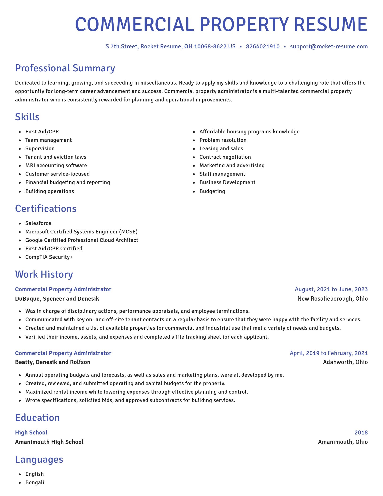 Novel resume template