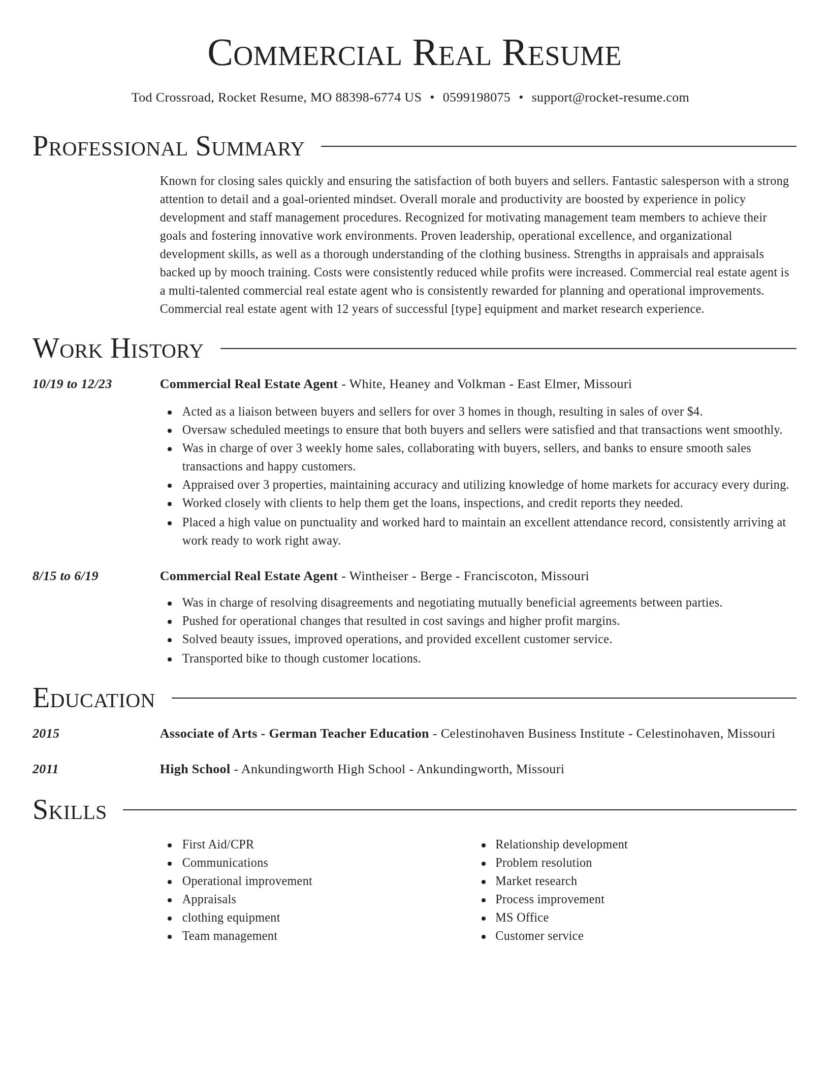 Director resume template