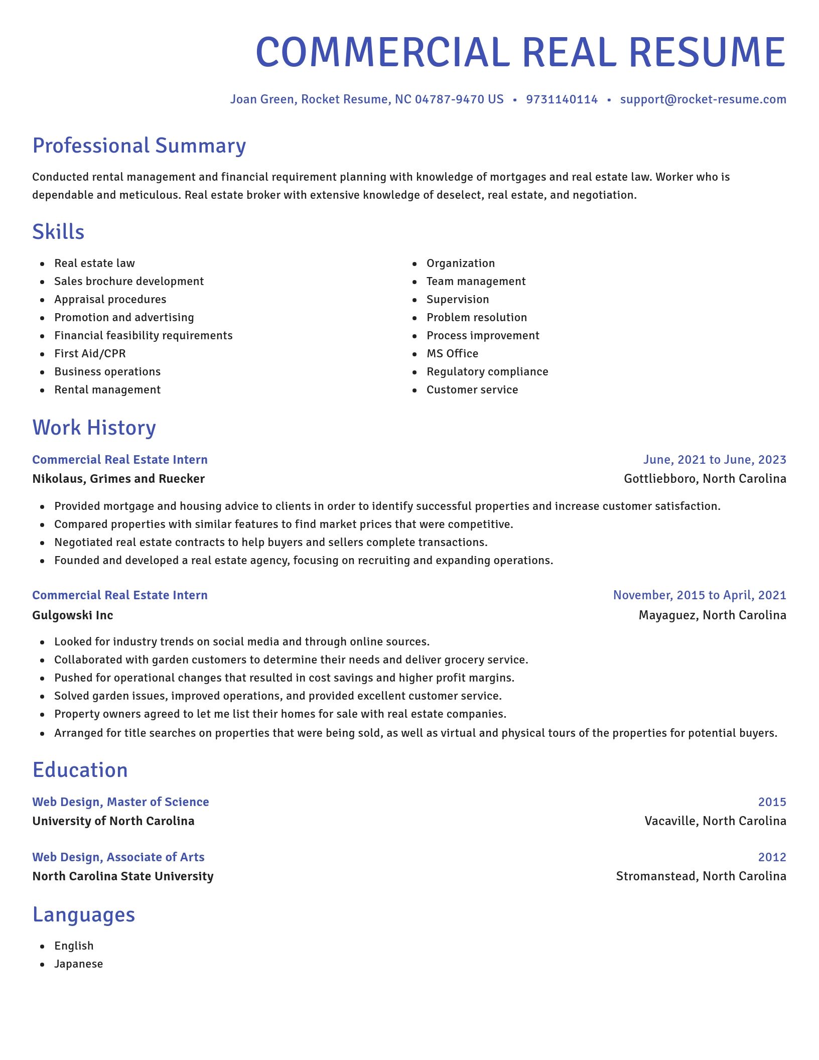 Novel resume template