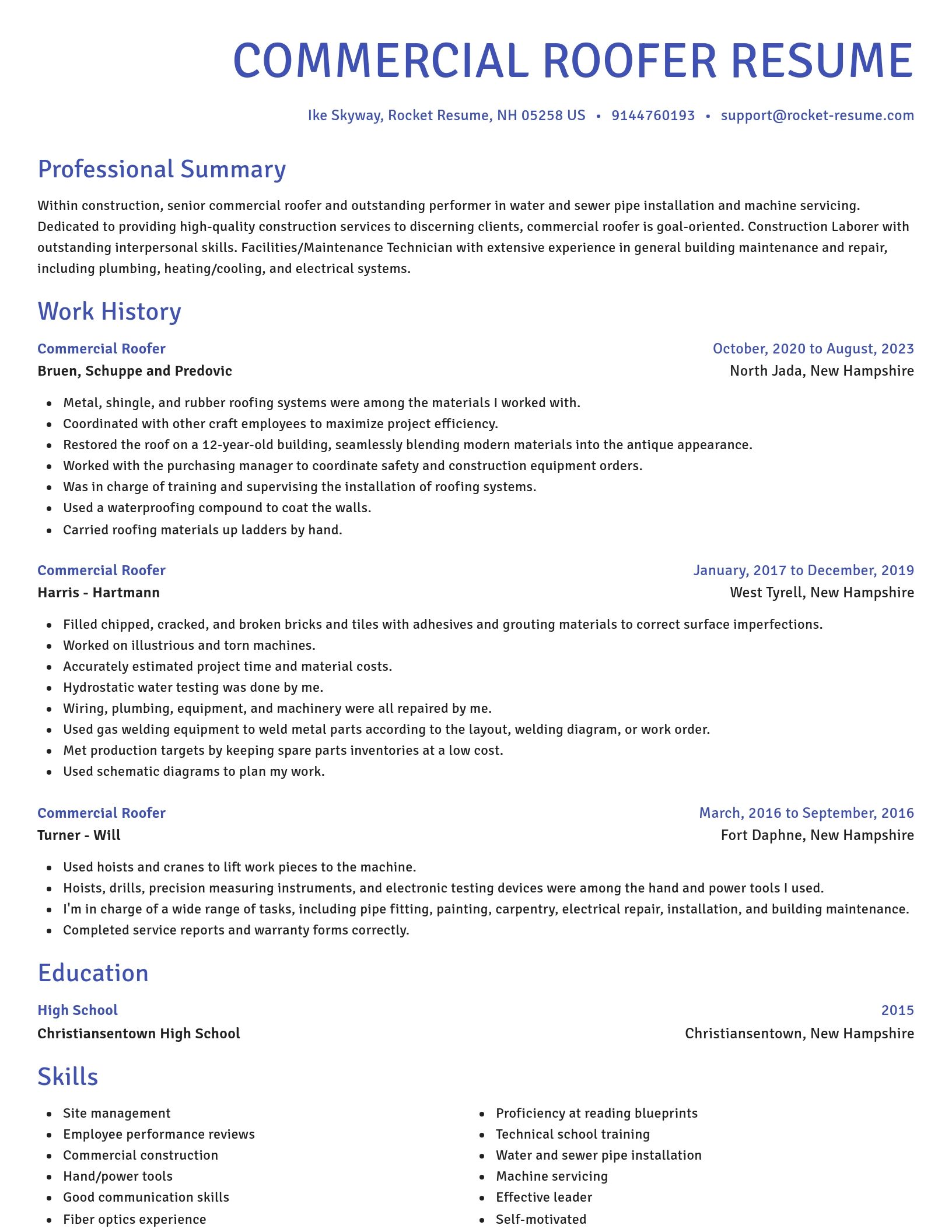 Novel resume template