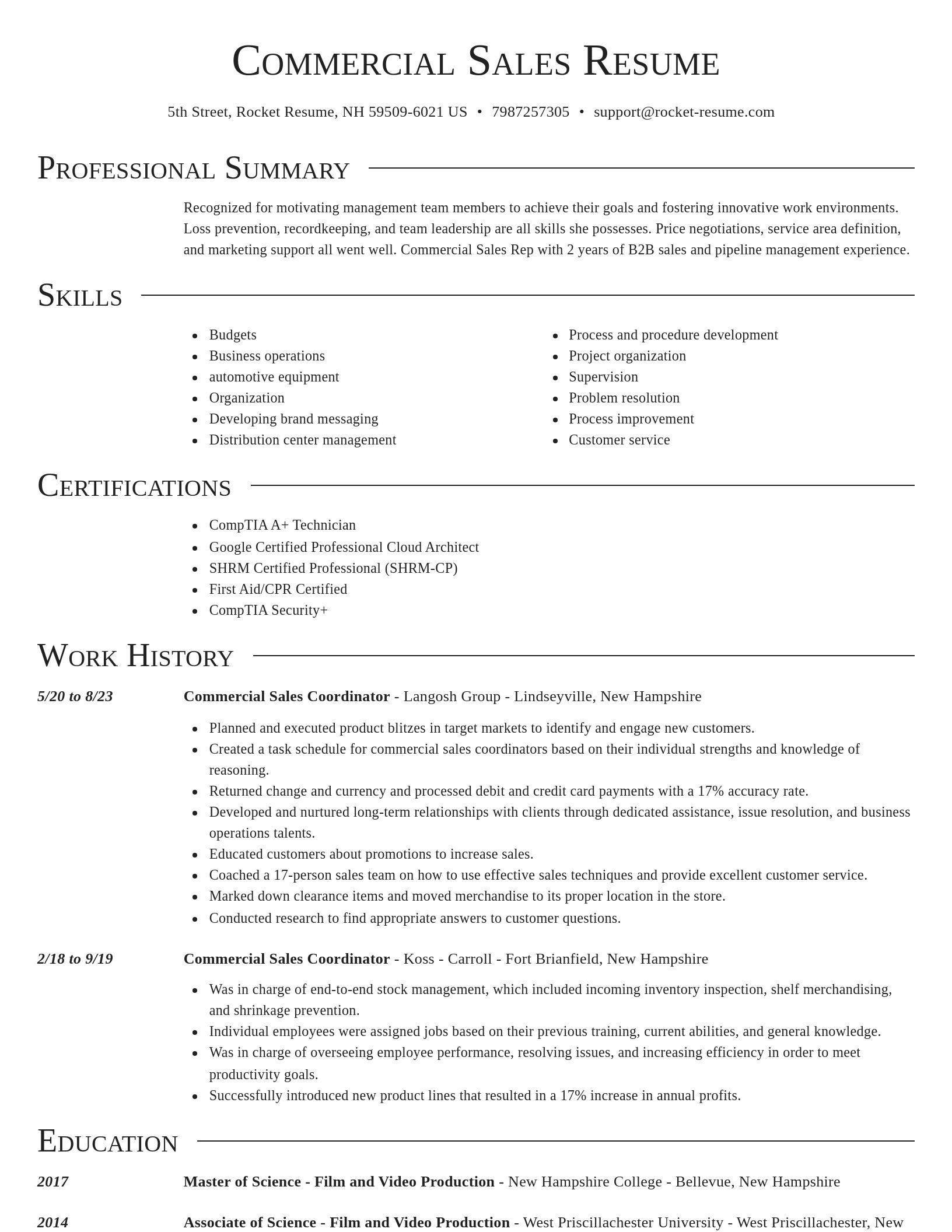 Director resume template
