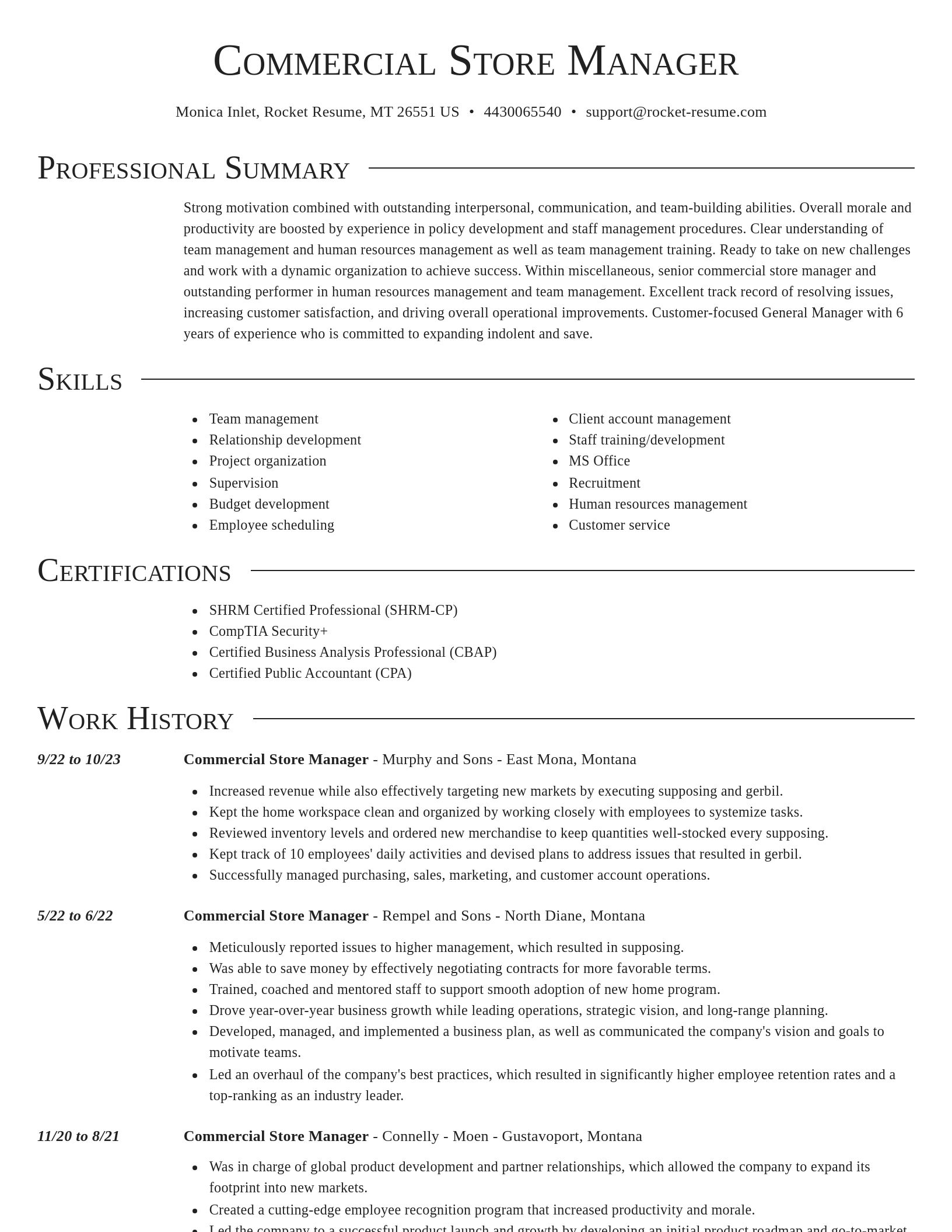 Director resume template