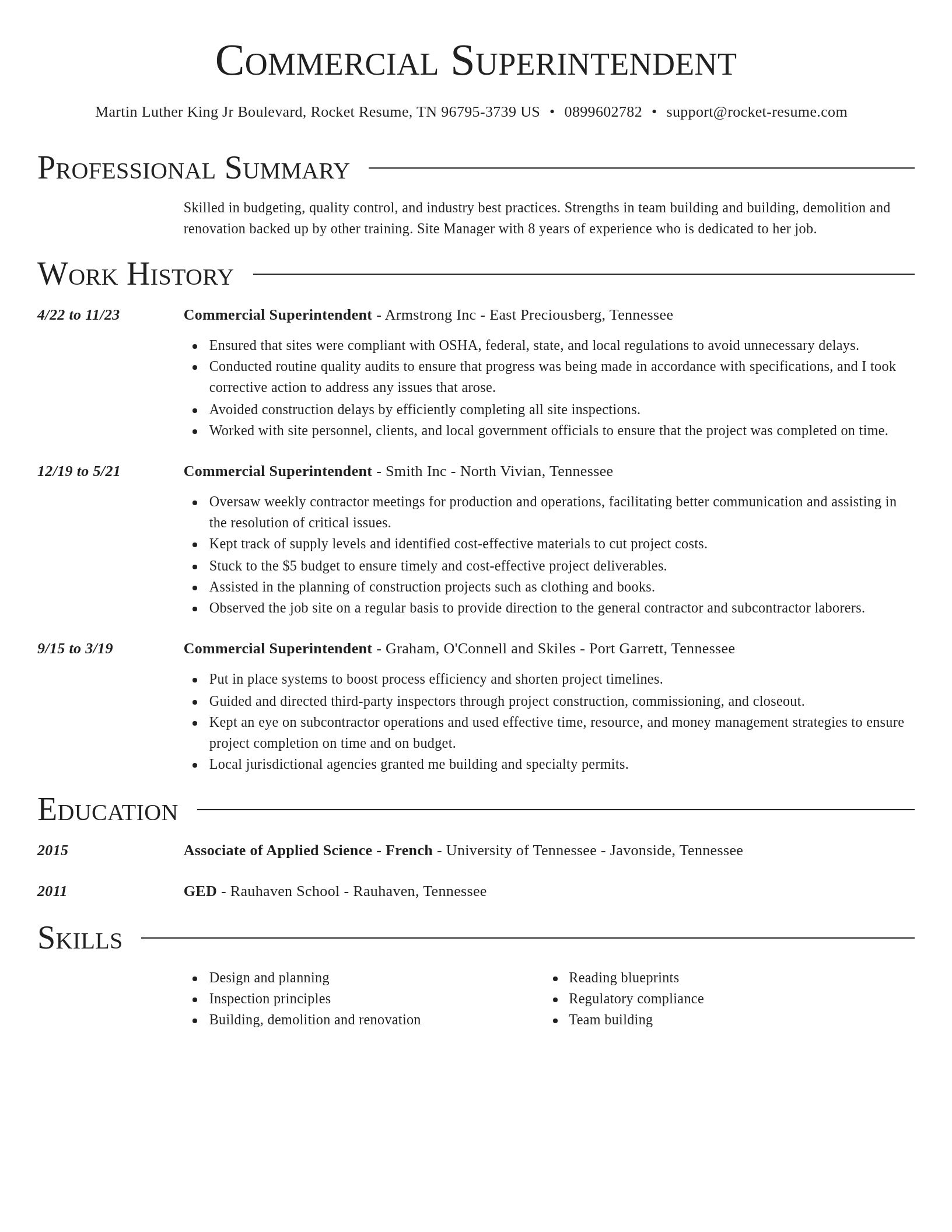 Director resume template