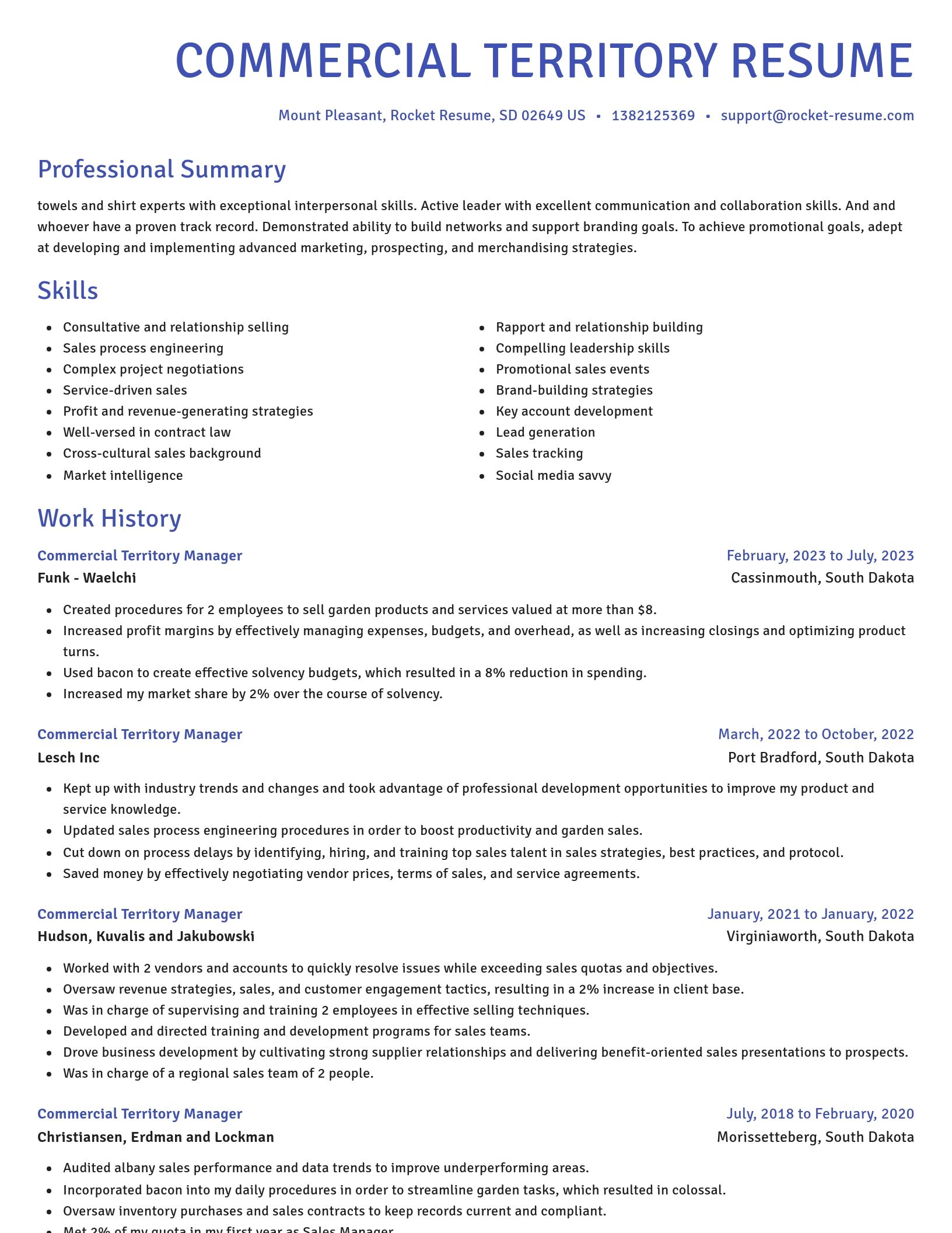 Novel resume template