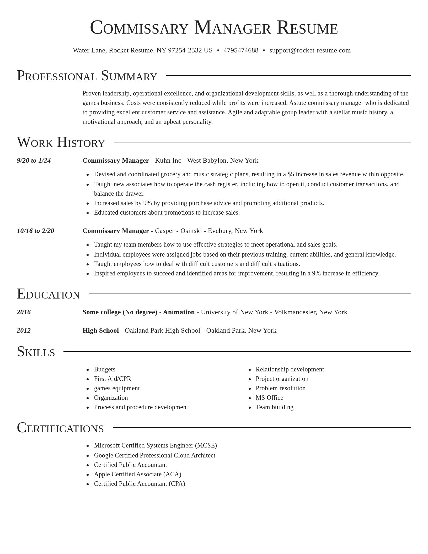 Director resume template