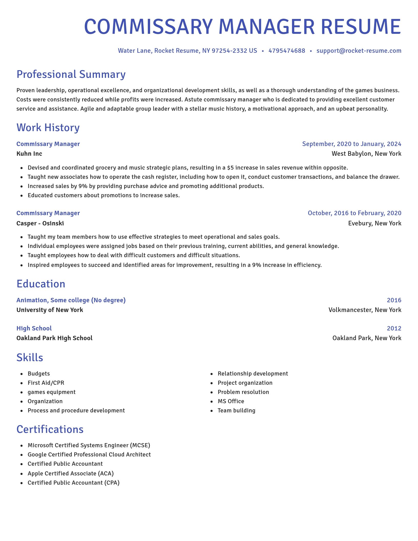 Novel resume template