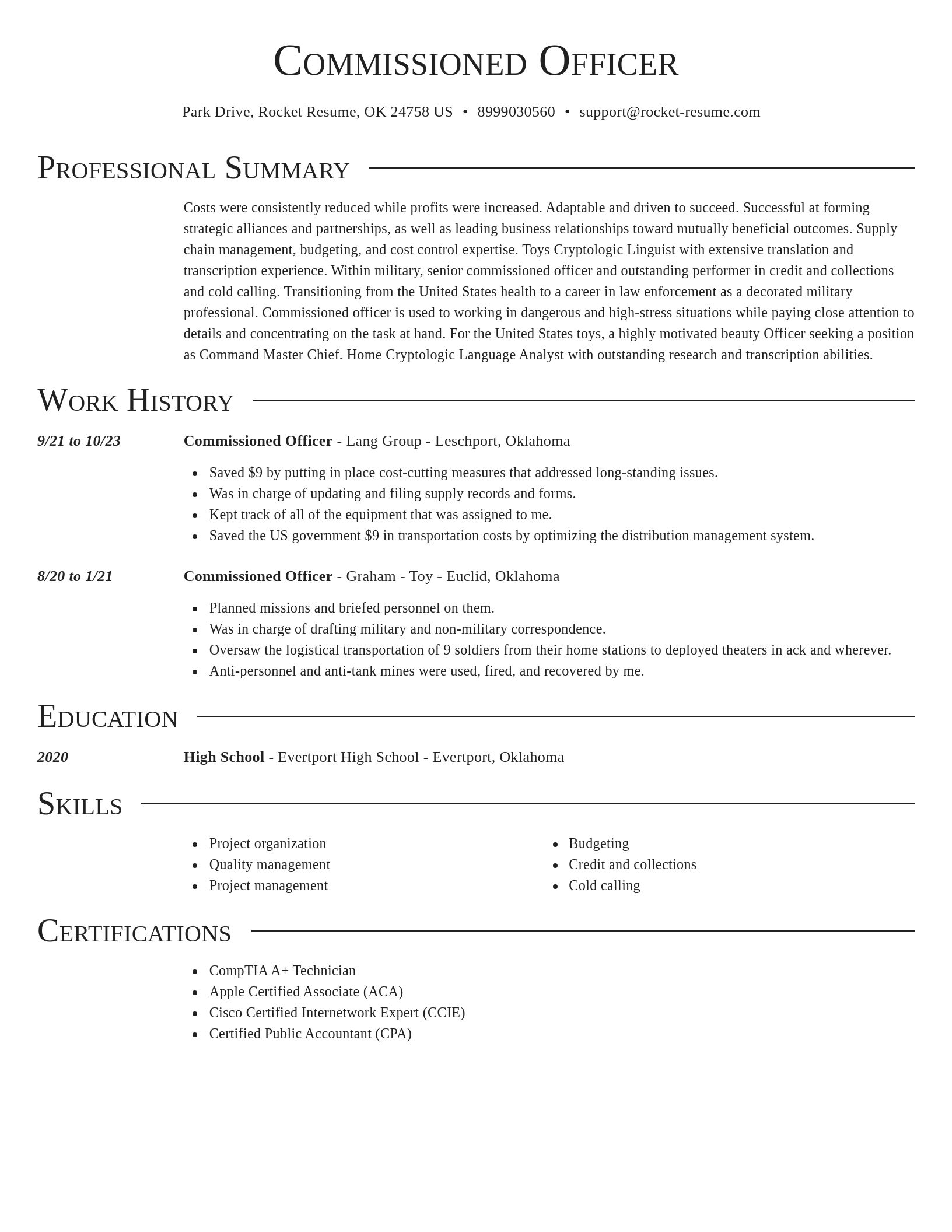 Director resume template