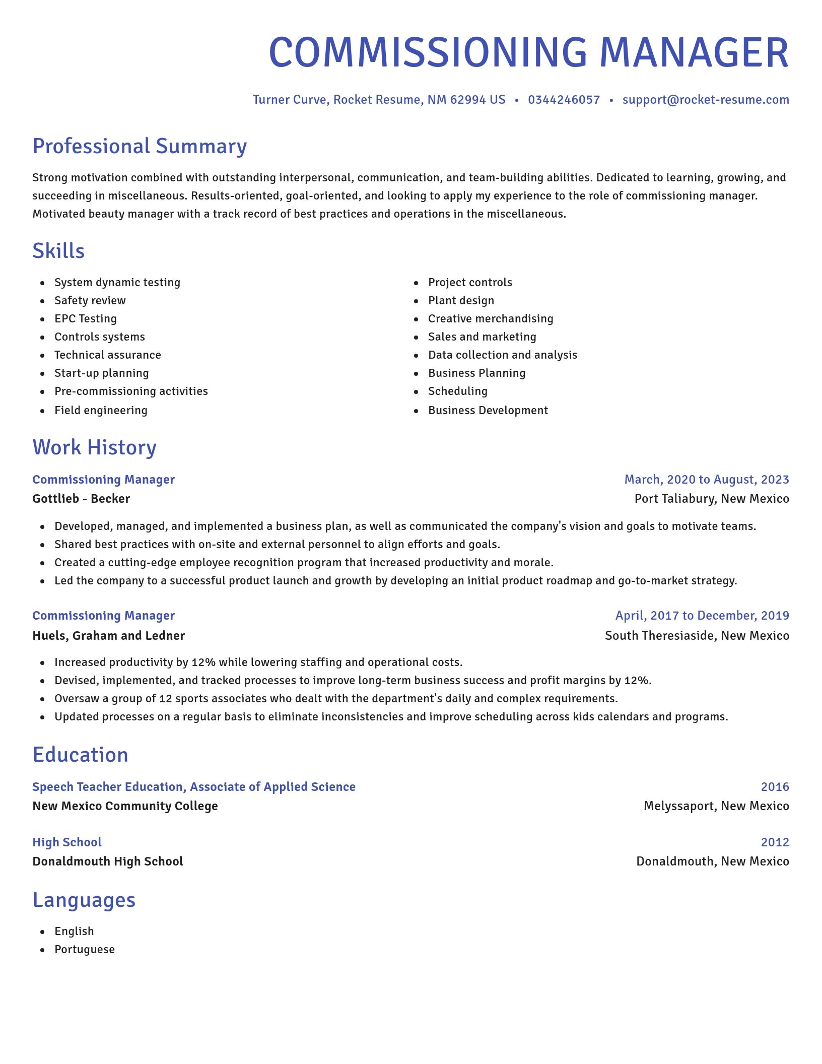Novel resume template
