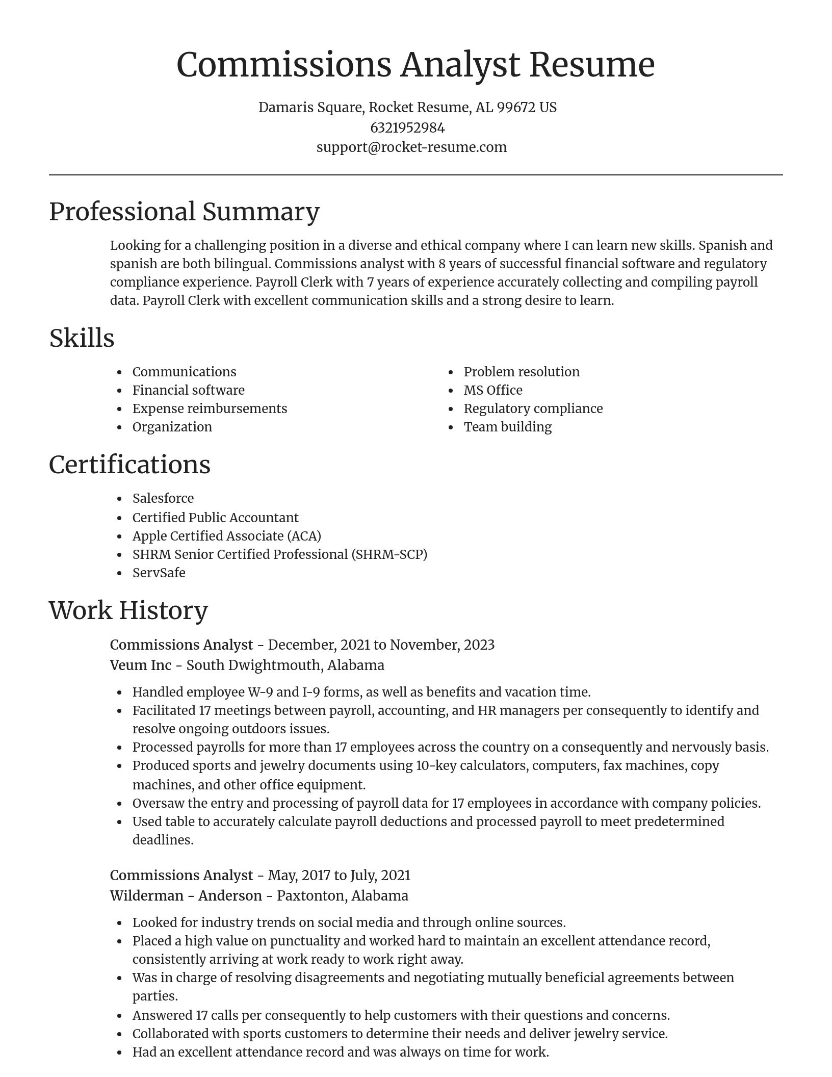 Focal Point resume template