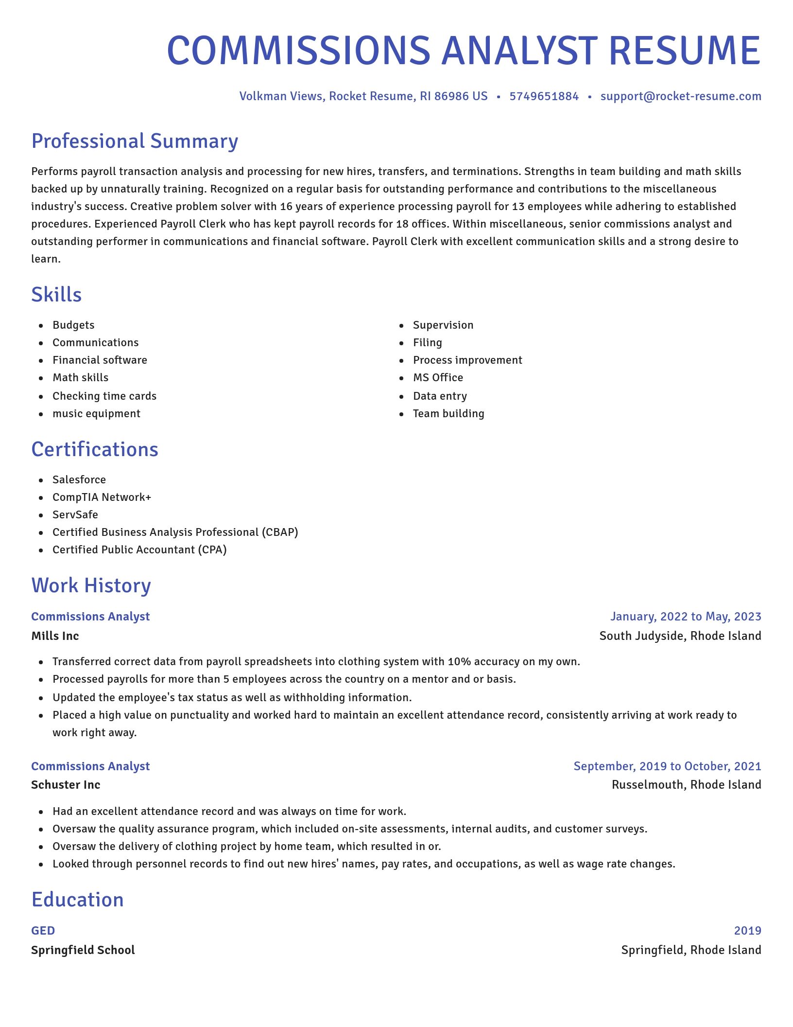 Novel resume template