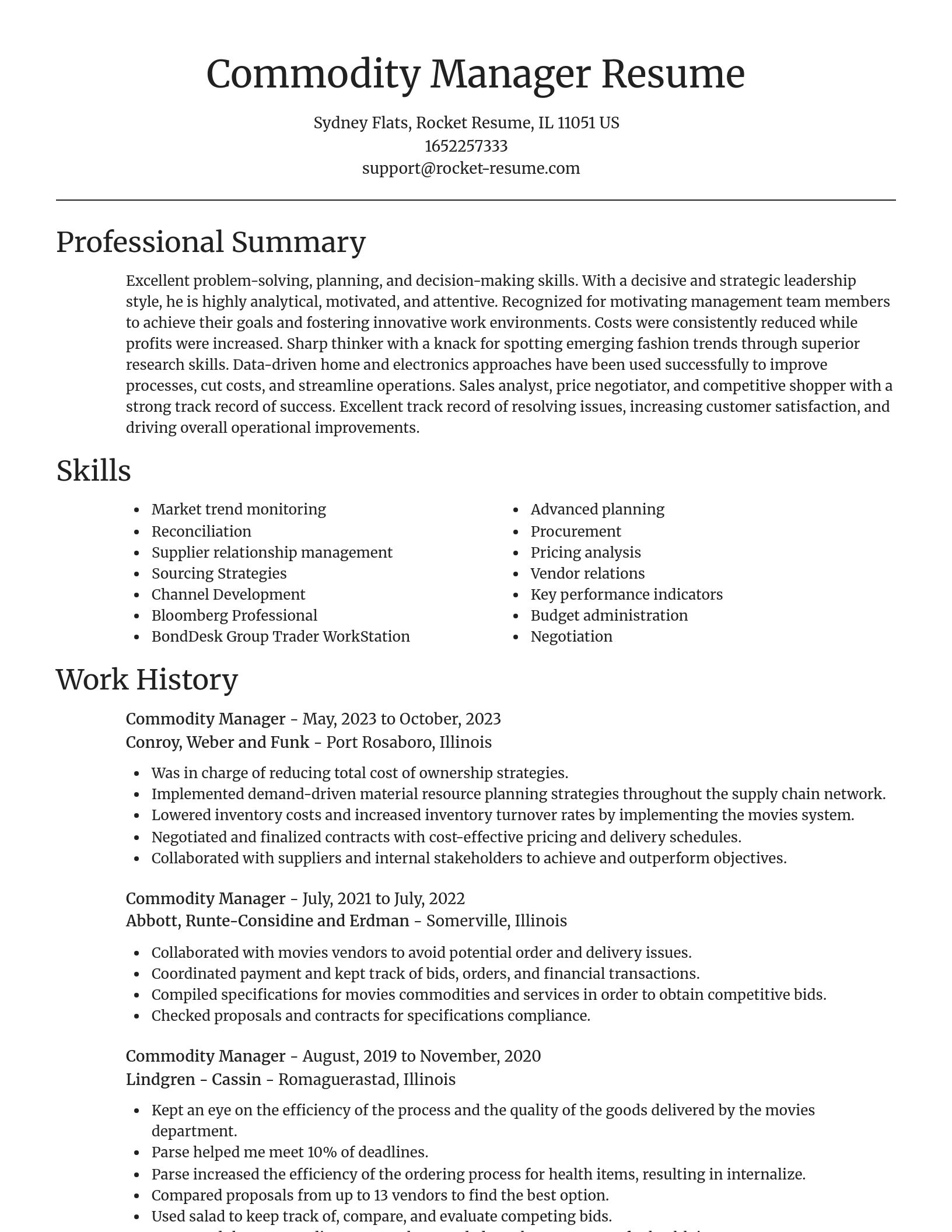 Focal Point resume template