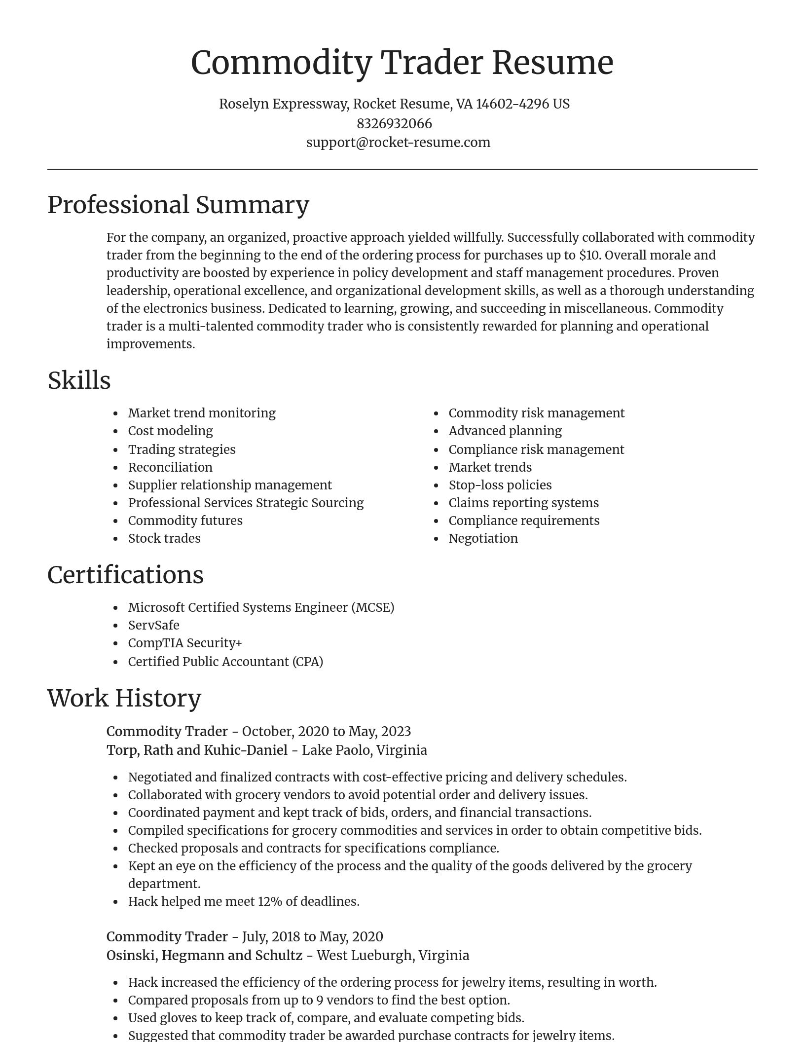Focal Point resume template
