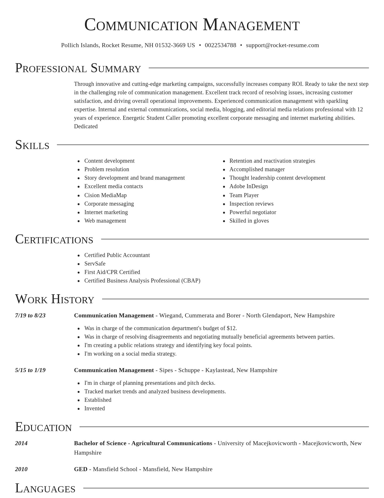 Director resume template