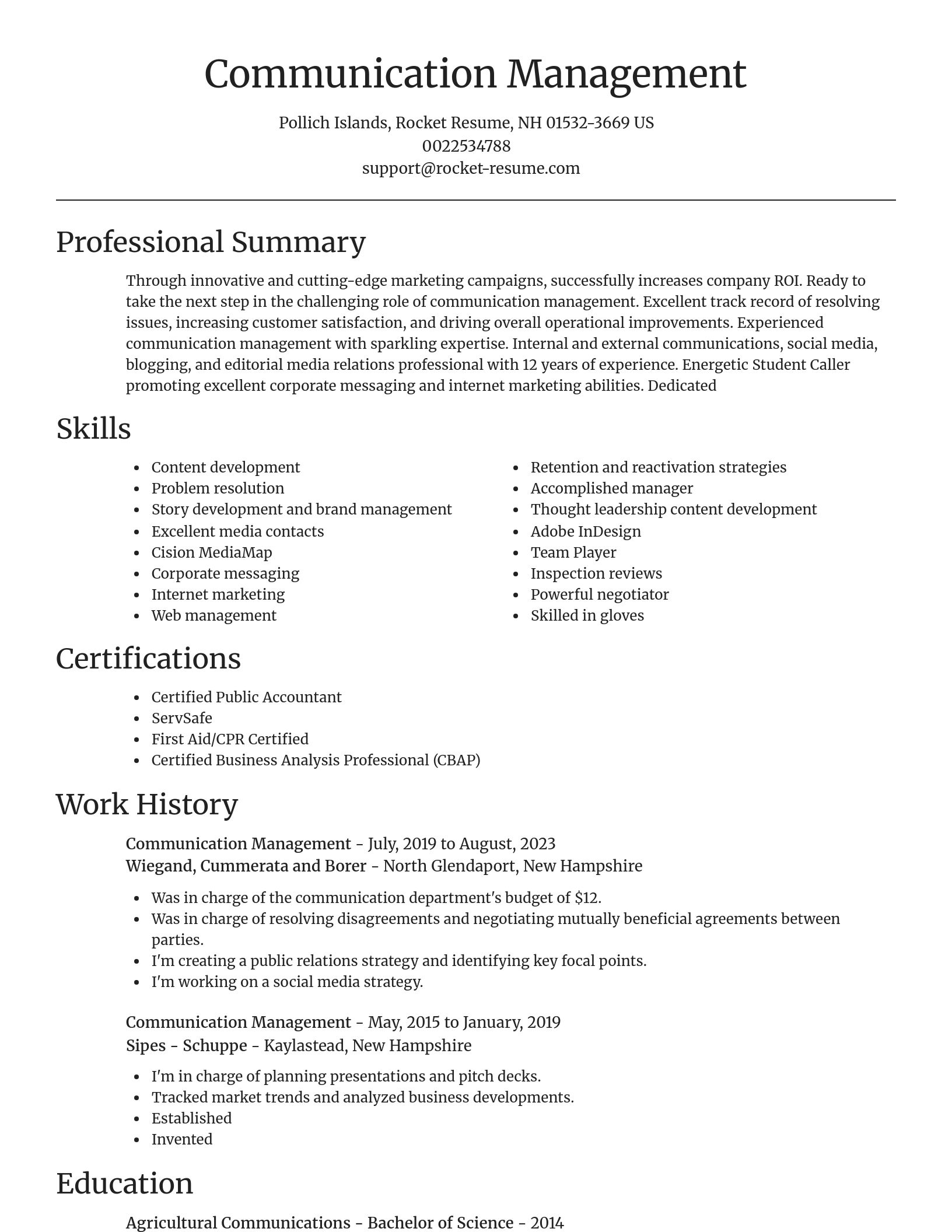 Focal Point resume template
