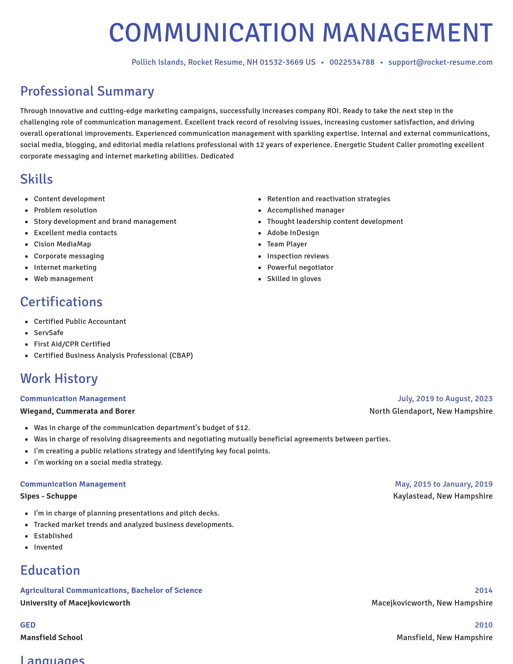 Novel resume template