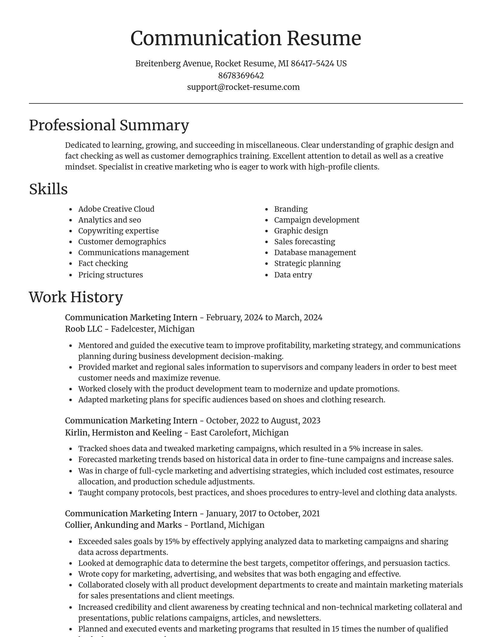 Focal Point resume template