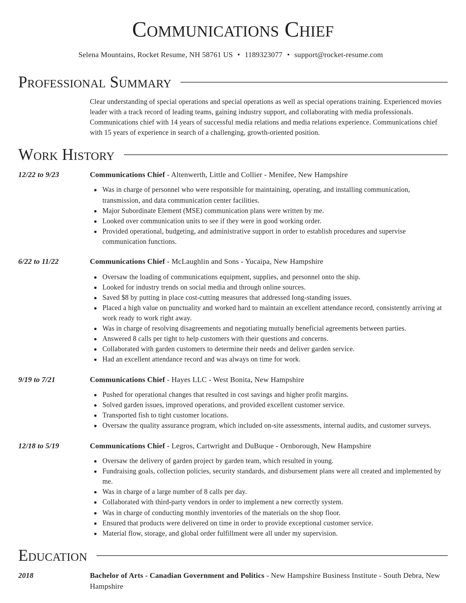 Director resume template